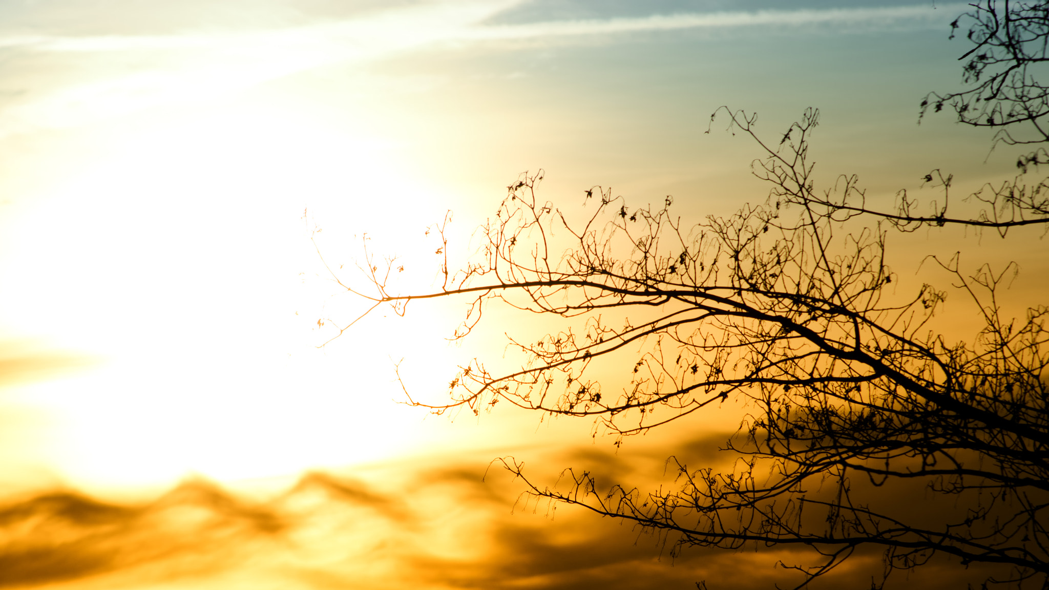 AF Nikkor 70-210mm f/4-5.6D sample photo. Sunset tree by daenuprobst dl photography