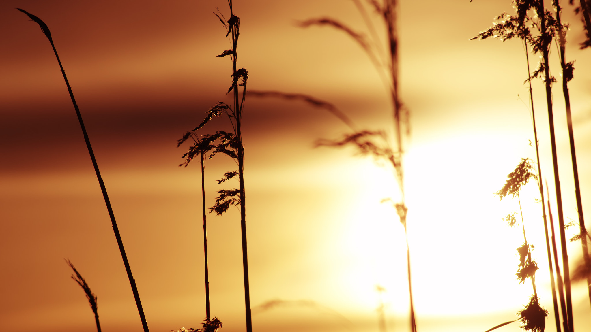 Nikon D5100 + AF Nikkor 70-210mm f/4-5.6D sample photo. Warm day by daenuprobst dlz photography