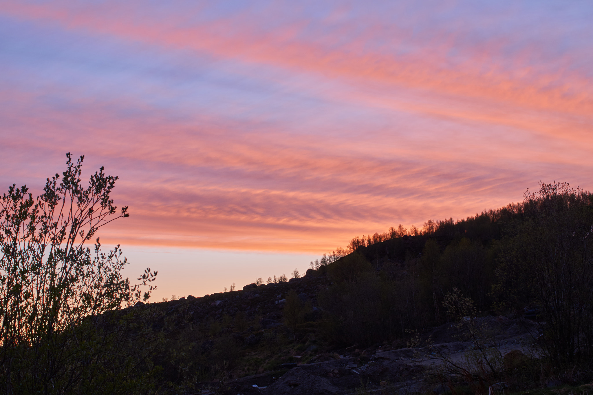Sony SLT-A58 + Sony DT 35mm F1.8 SAM sample photo. Murmansk sunset_3 photography
