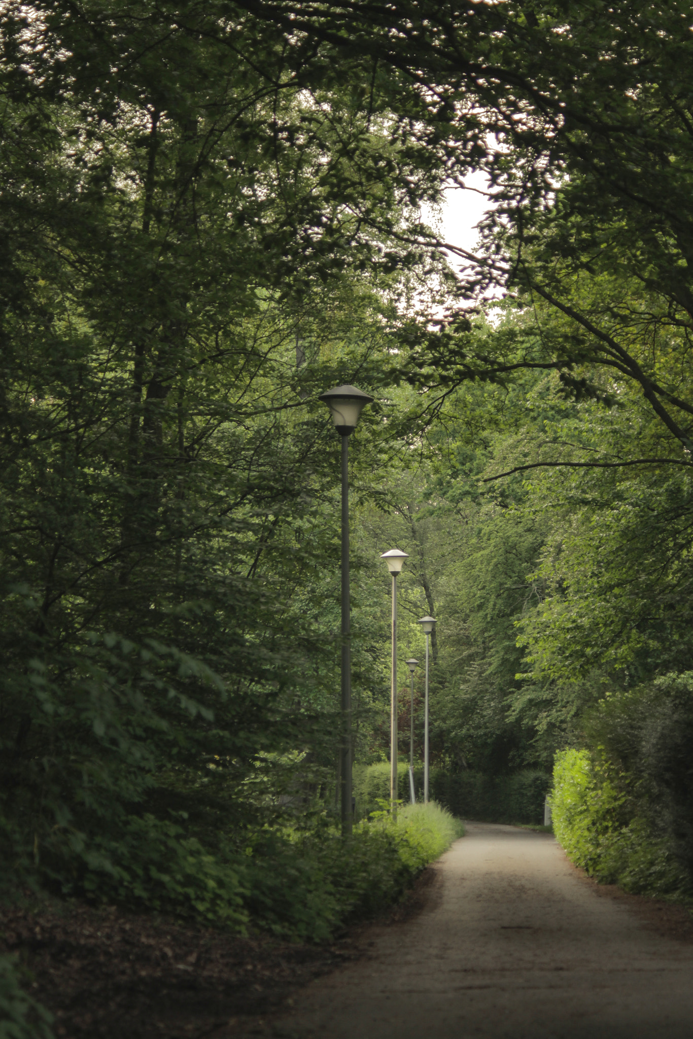 Canon EF 28-70mm f/3.5-4.5 sample photo. Kleine weg photography