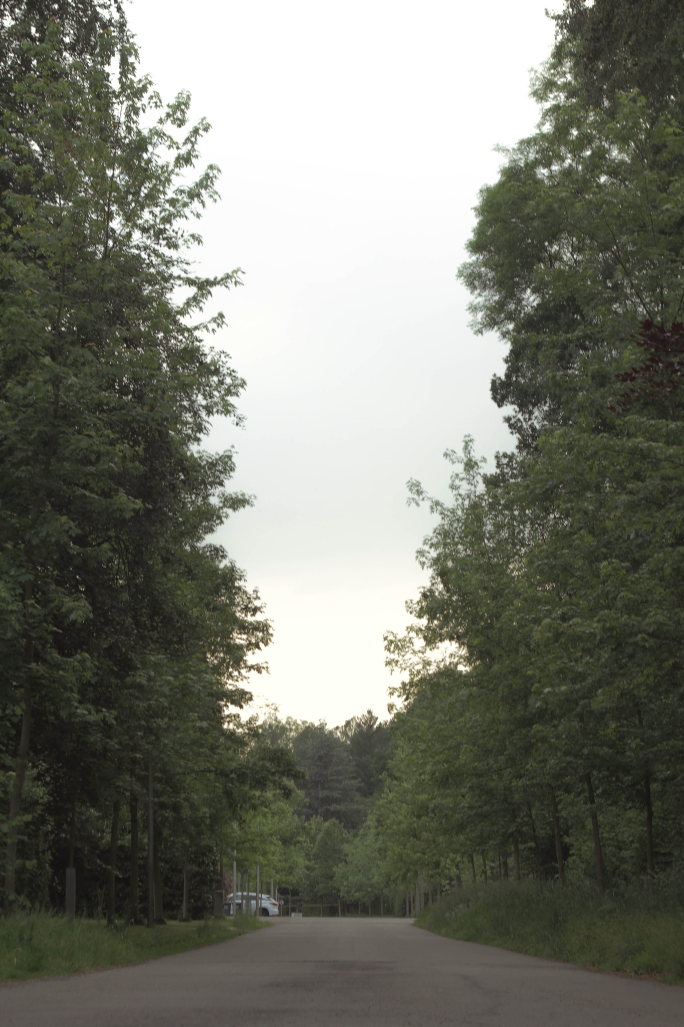 Canon EF 28-70mm f/3.5-4.5 sample photo. Weg photography
