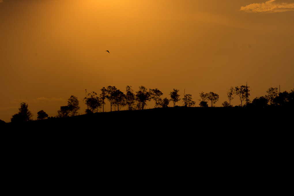 Sony DT 55-200mm F4-5.6 SAM sample photo. Sunset photography