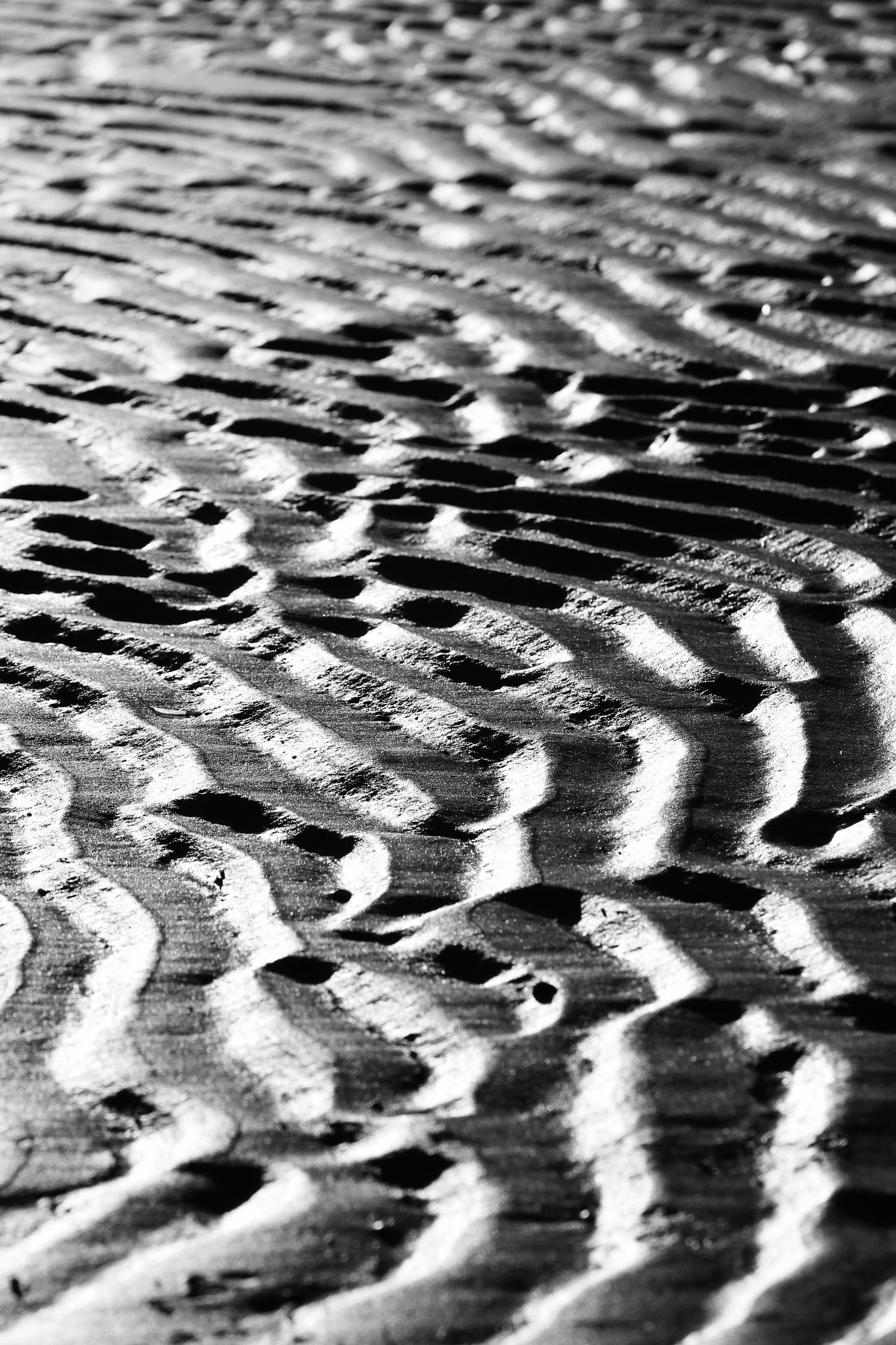 Canon EOS 650D (EOS Rebel T4i / EOS Kiss X6i) + Sigma 105mm F2.8 EX DG Macro sample photo. Children of waves photography