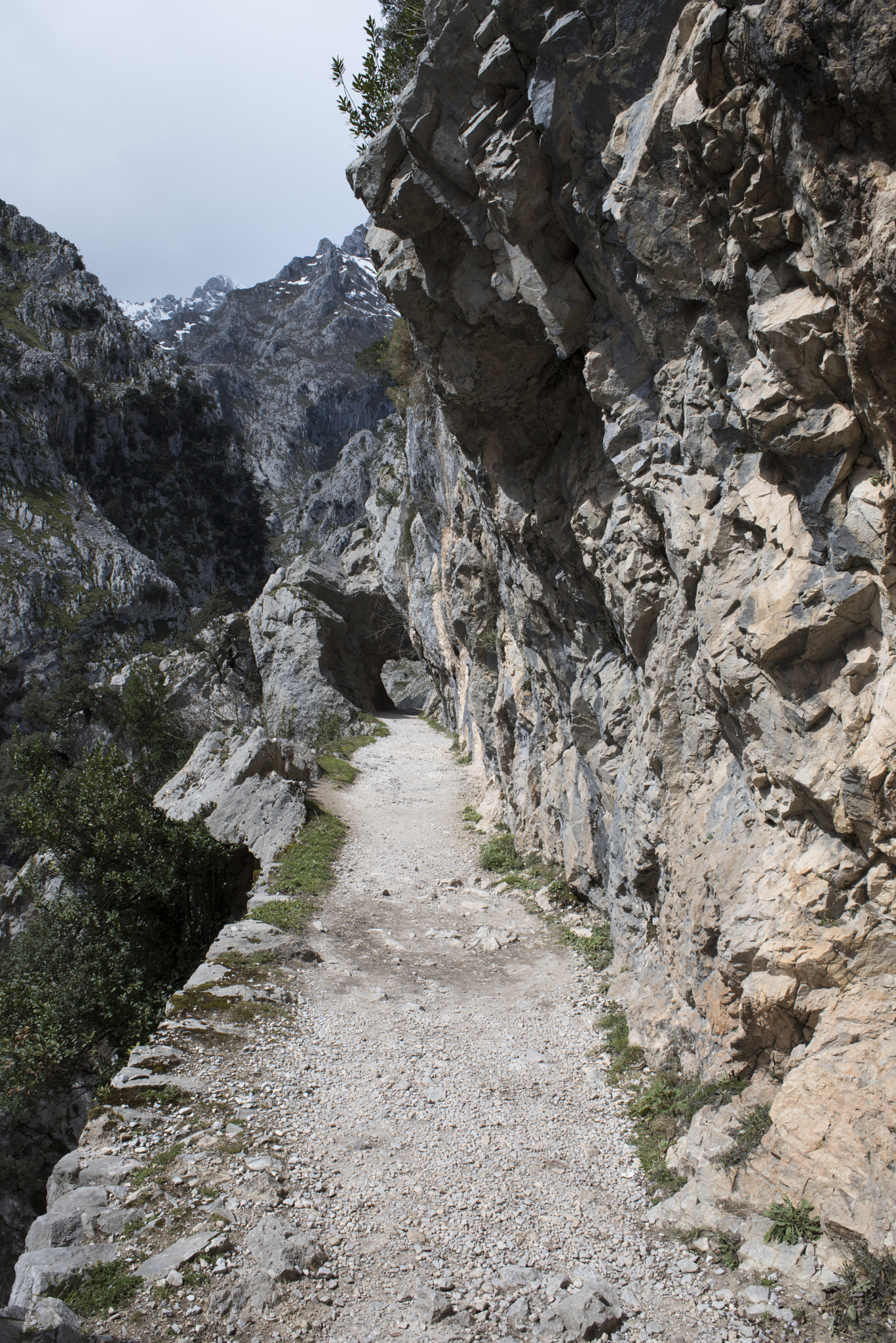 Nikon D810 + Nikon AF Nikkor 28mm F2.8D sample photo. Cares gorge, picos de europa, asturias, spain. photography