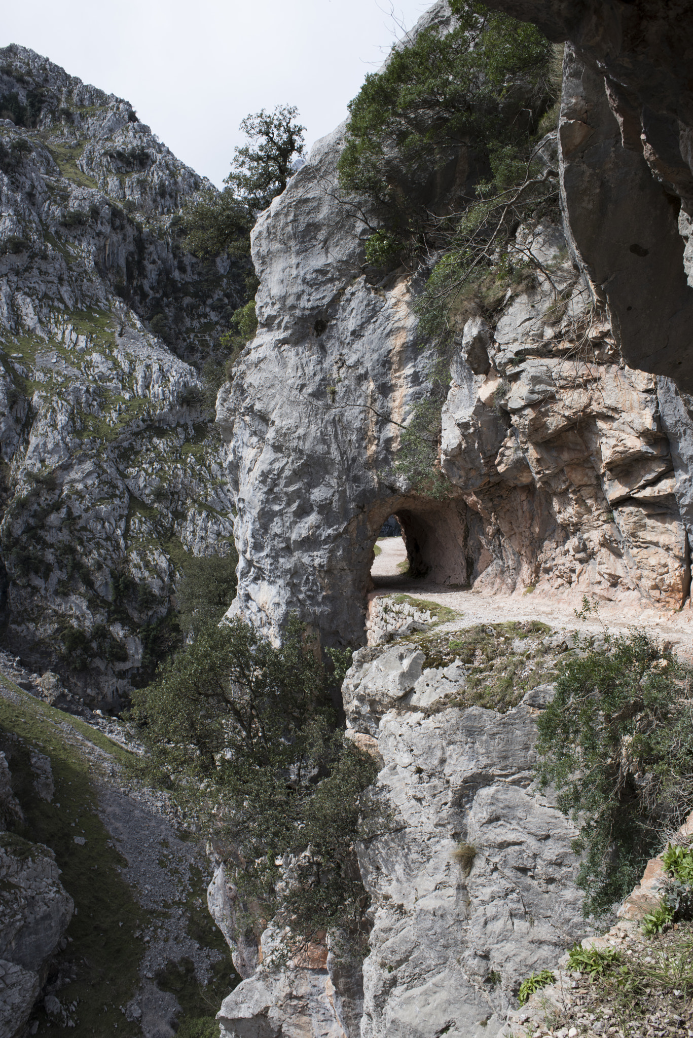 Nikon D810 + Nikon AF Nikkor 28mm F2.8D sample photo. Cares gorge, picos de europa, asturias, spain. photography