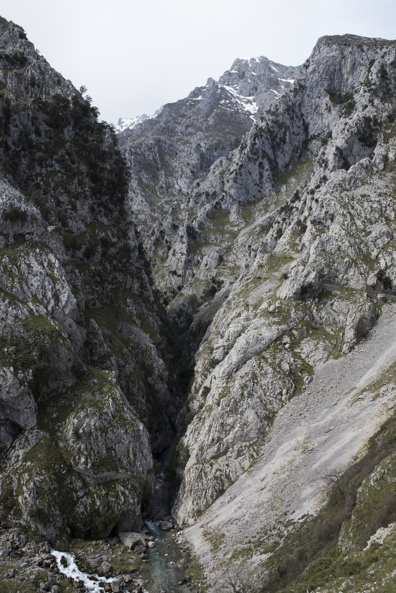 Nikon D810 + Nikon AF Nikkor 28mm F2.8D sample photo. Cares gorge, picos de europa, asturias, spain. photography