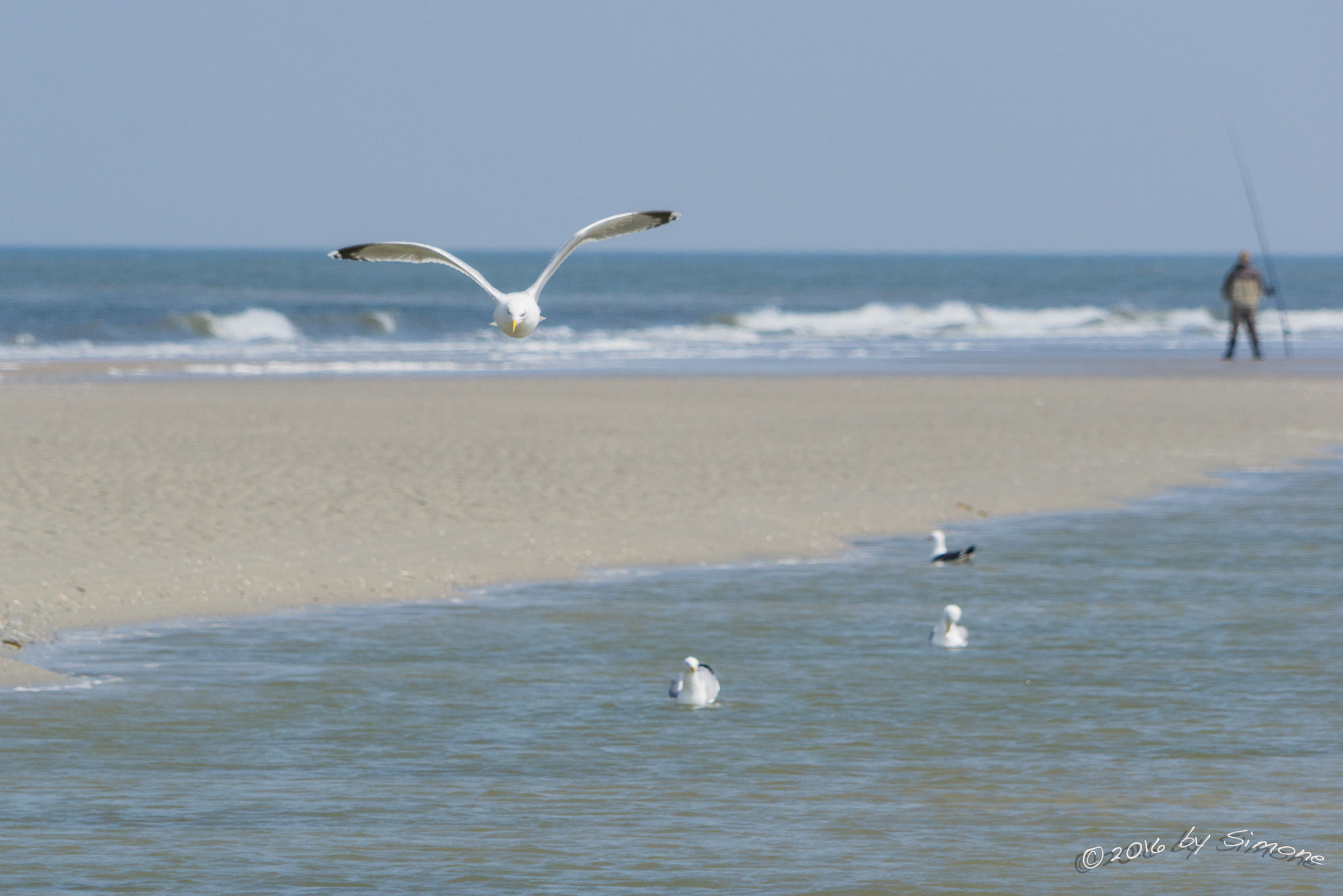 Sony a6000 + Sony FE 24-240mm F3.5-6.3 OSS sample photo. Möwen und angler am strand photography