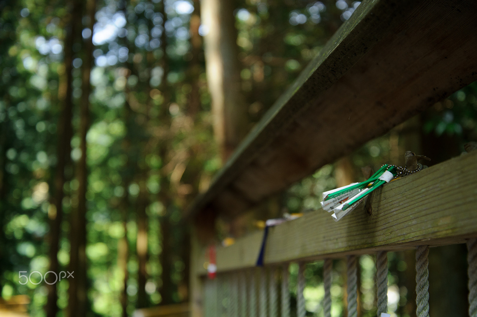 Nikon D3S sample photo. Fortune slip photography