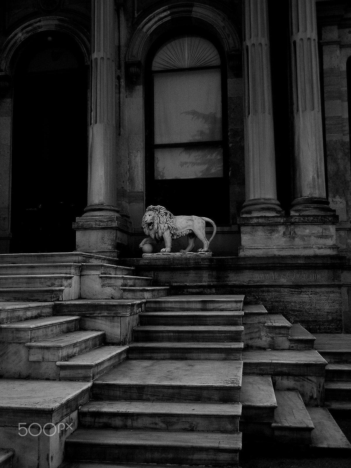 Olympus u780,S780 sample photo. Lion estambul museum photography