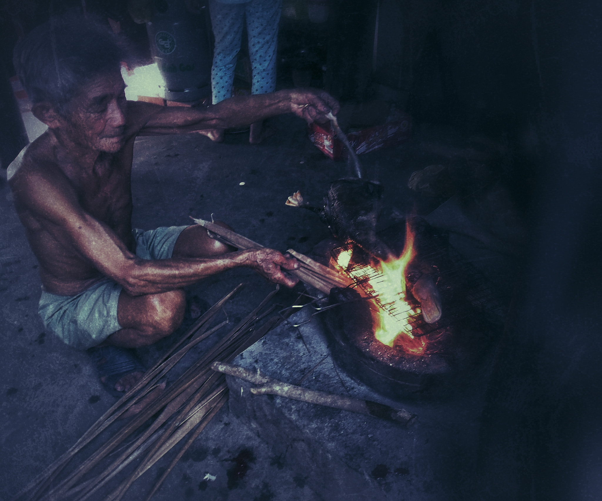 Samsung WB50F/WB51F/WB52F sample photo. Fire fish photography