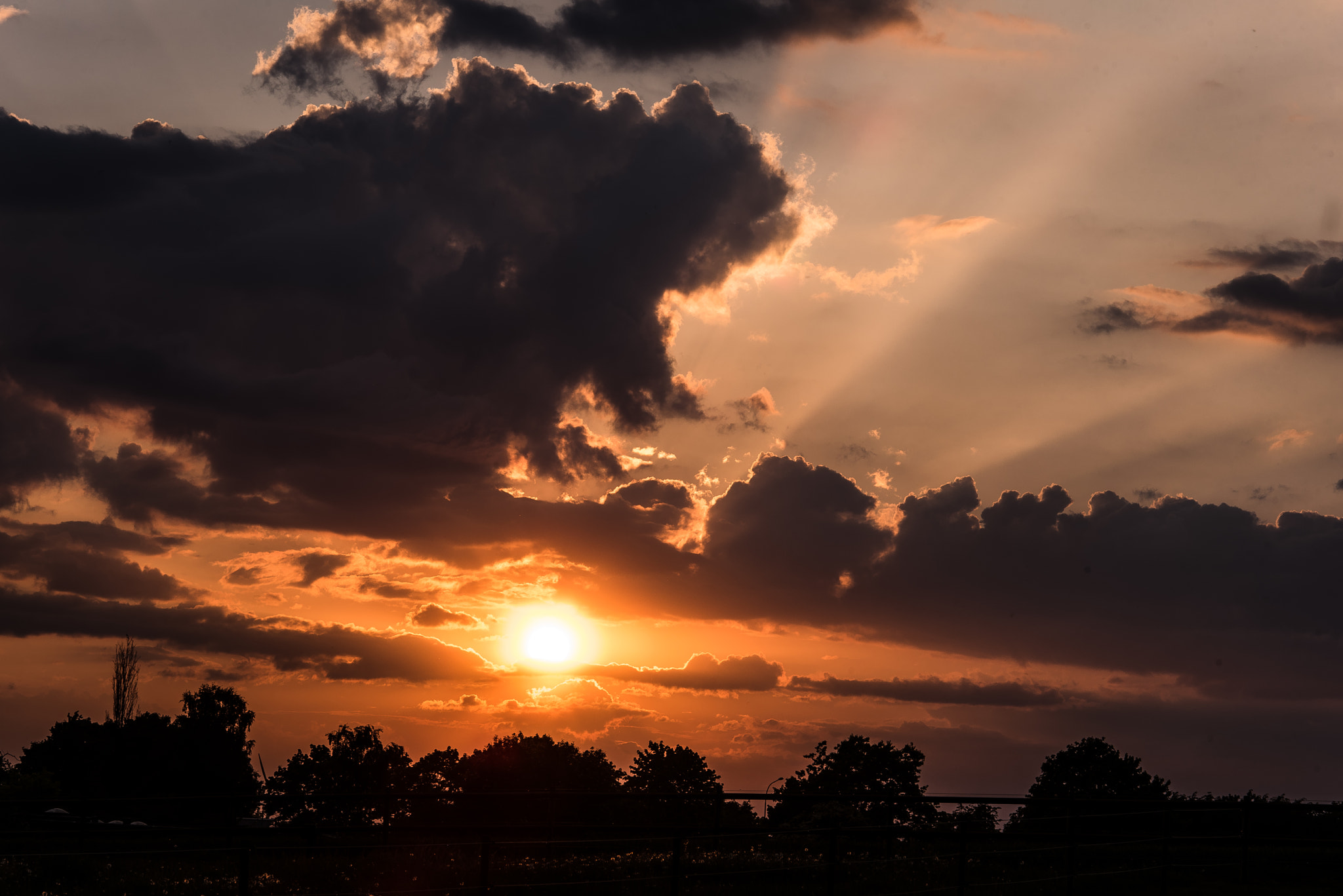 Nikon D750 + Nikon AF Nikkor 105mm F2D DC sample photo. After rain... photography