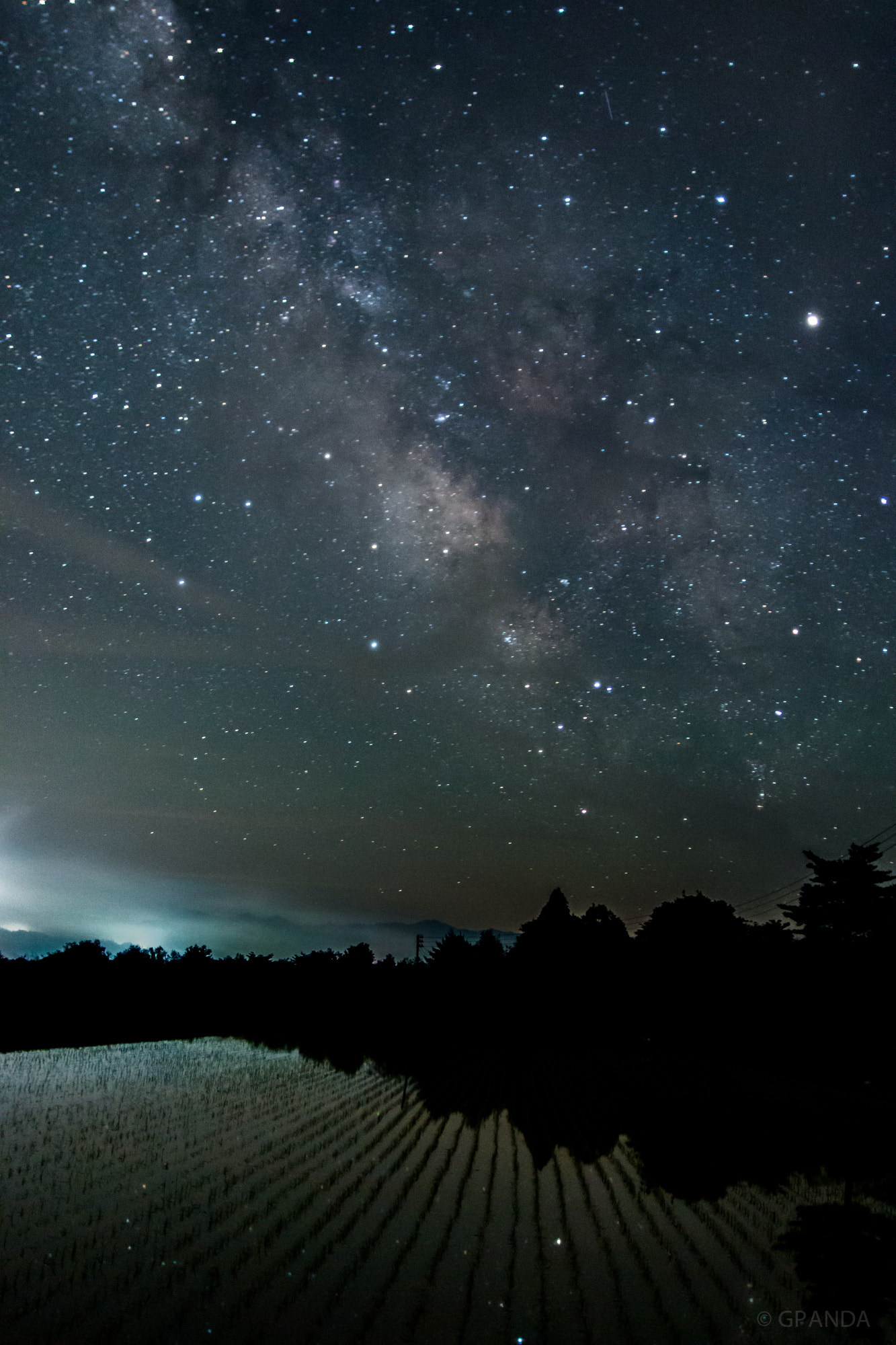 Canon EOS 70D + Sigma 20mm EX f/1.8 sample photo. Rice field at night photography