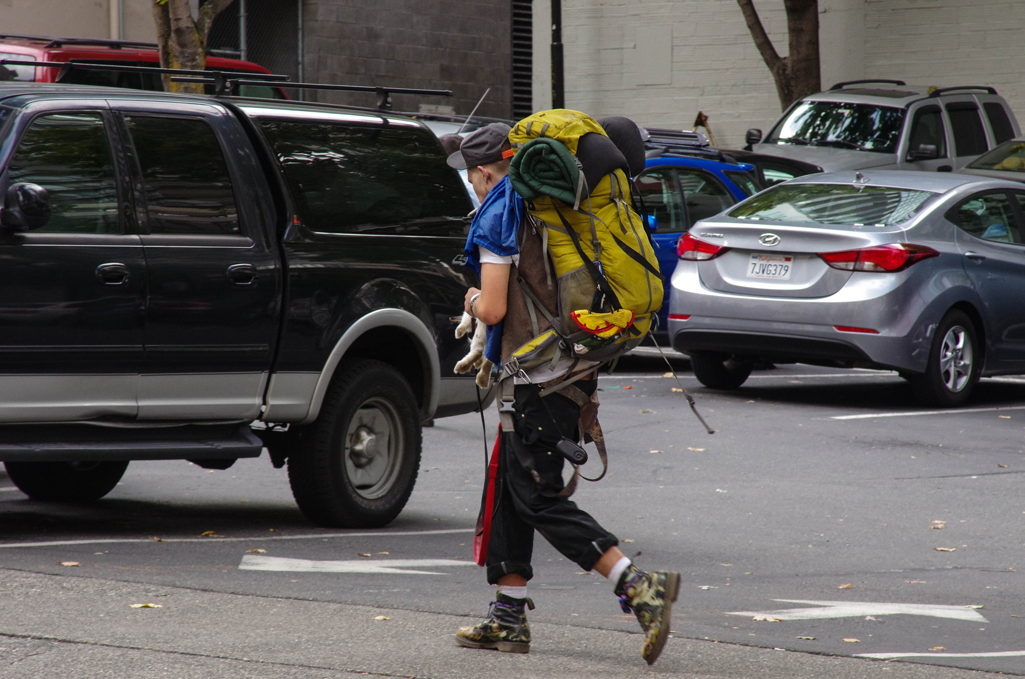 Pentax K-5 II sample photo. Backpacker with his pet rabbit photography
