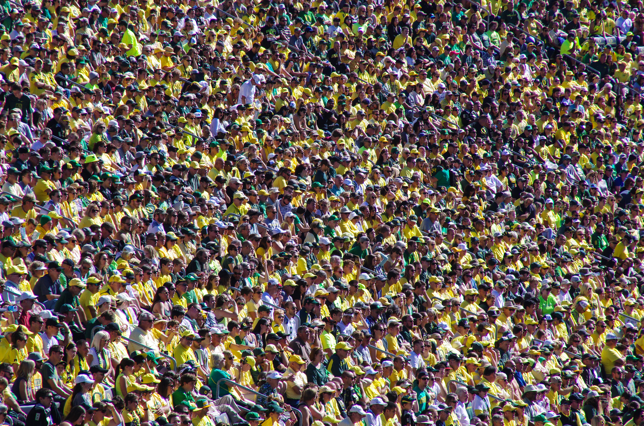 Pentax K-5 II sample photo. Mass photography
