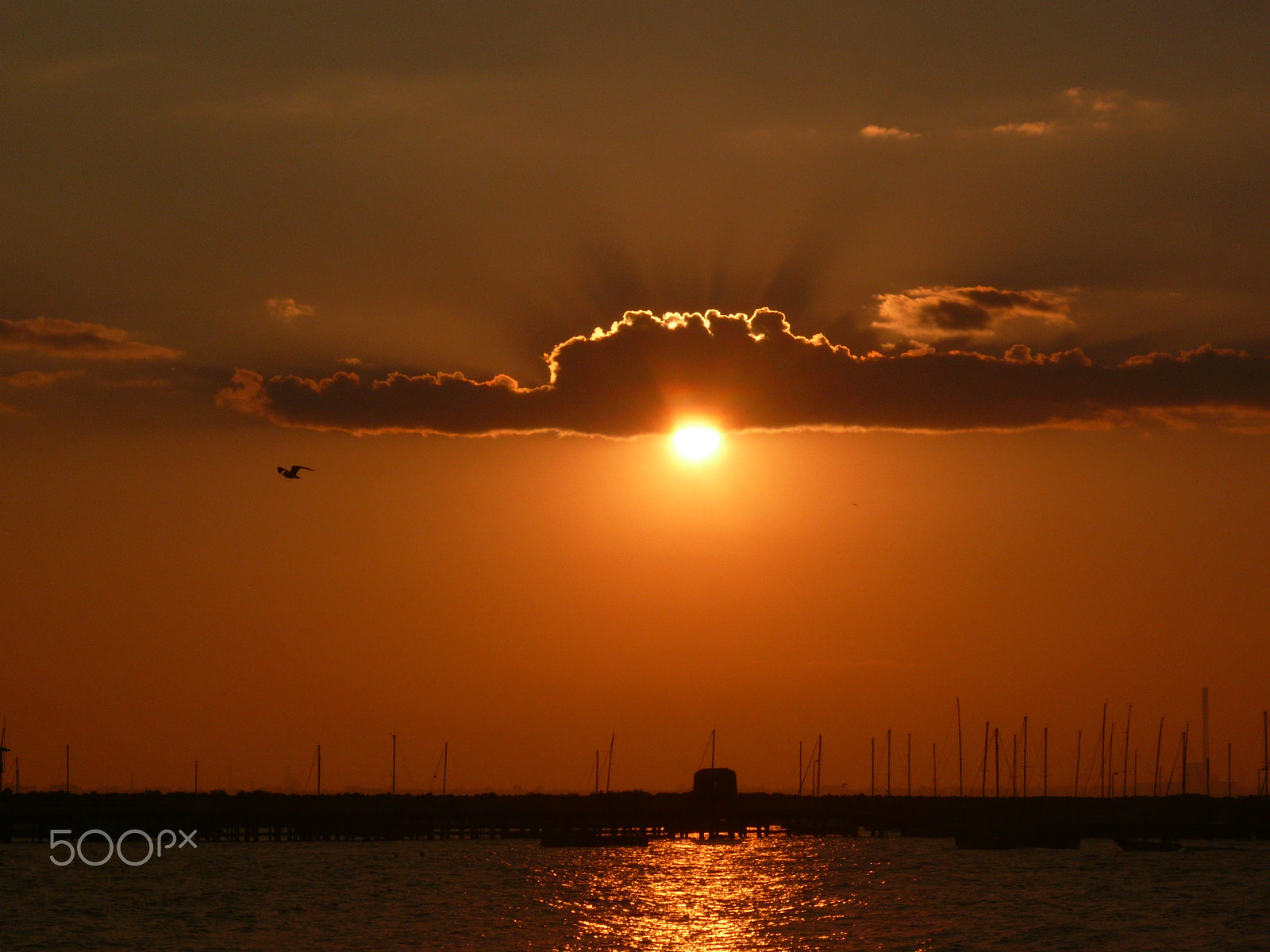 Panasonic DMC-FX100 sample photo. Sunset st kilda melbourne photography