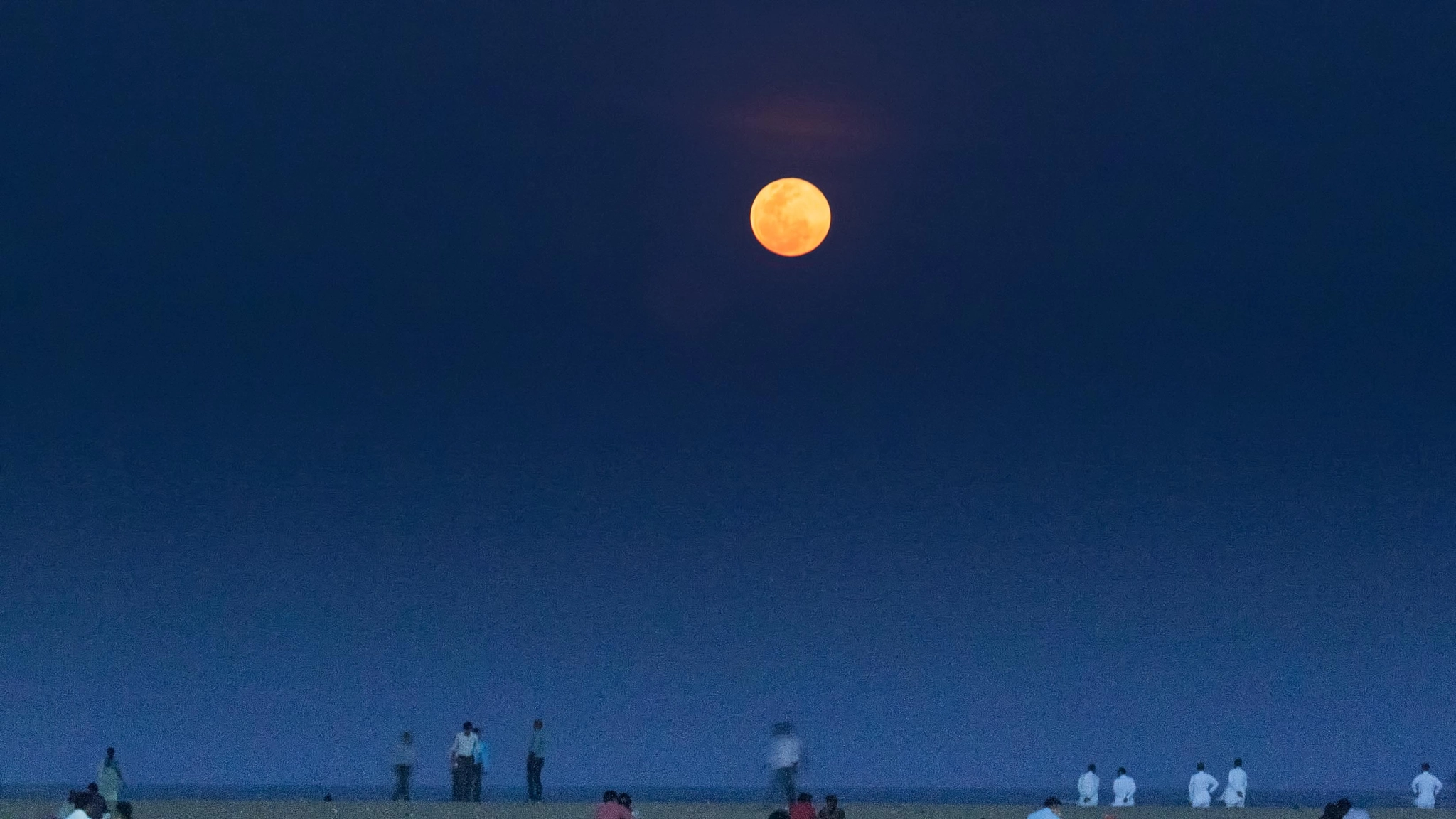 Canon EOS-1D Mark III + Canon EF 100-400mm F4.5-5.6L IS USM sample photo. Fullmoon photography