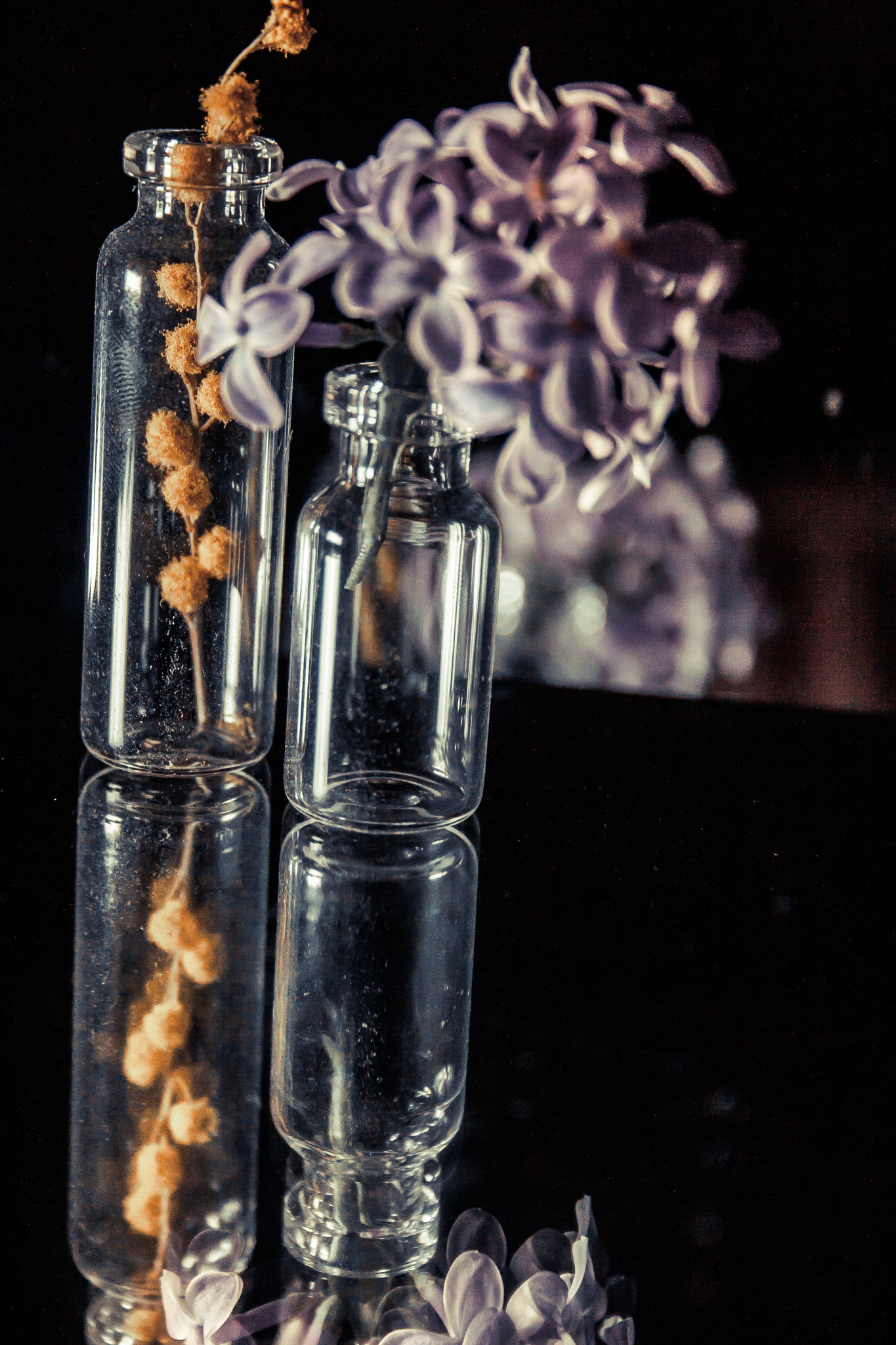 Canon EF-S 18-55mm F3.5-5.6 sample photo. N a t u r m o r t photography