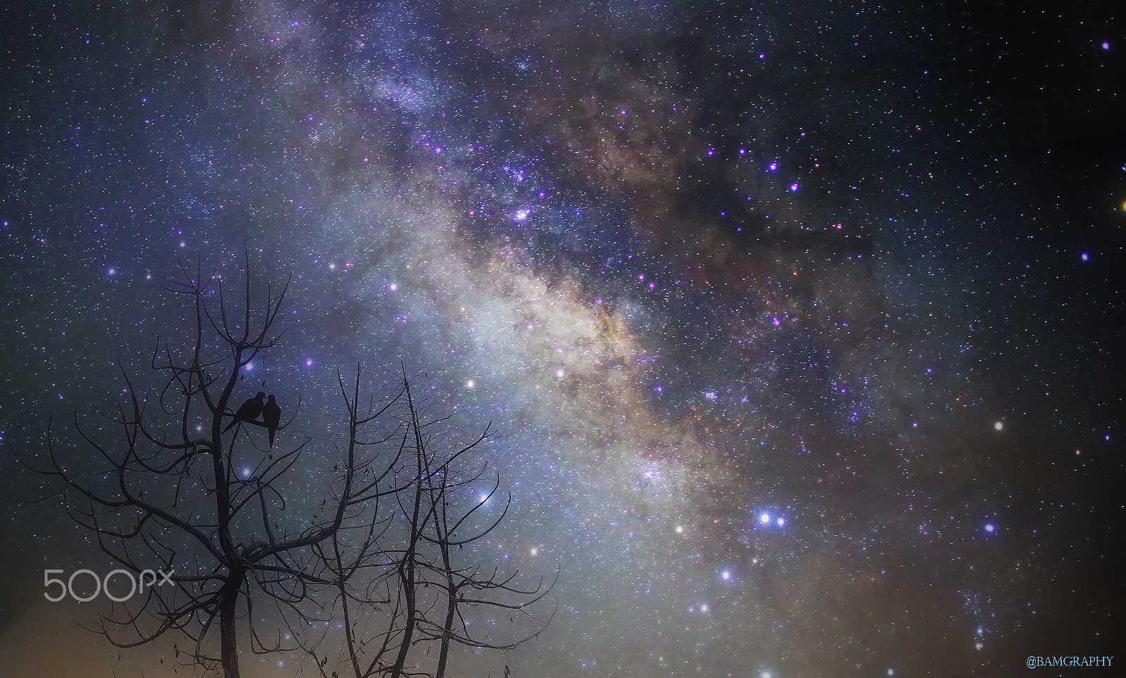 Sigma 30mm F1.4 EX DC HSM sample photo. Starry night photography