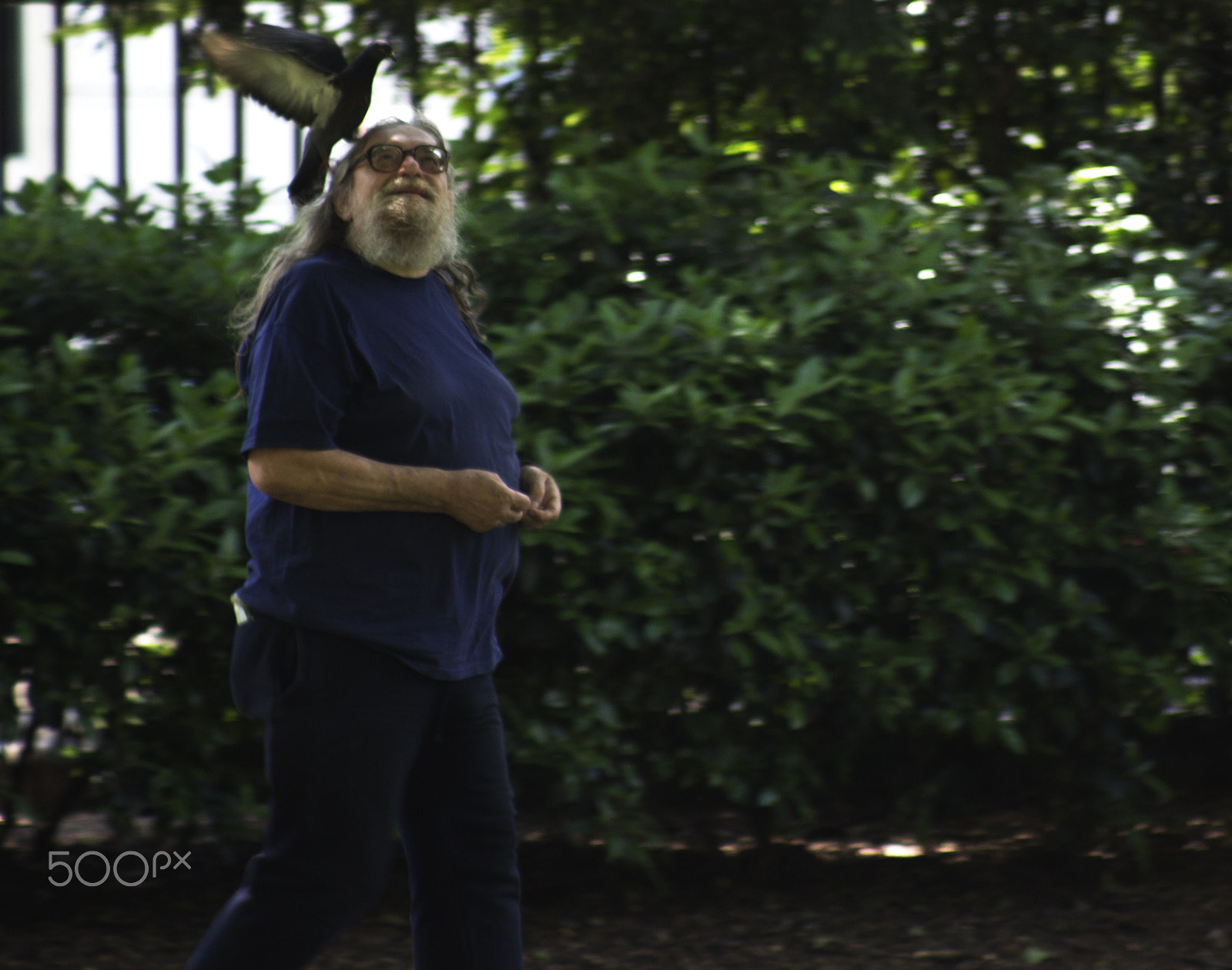 Canon EF 80-200mm F4.5-5.6 II sample photo. Bird man photography