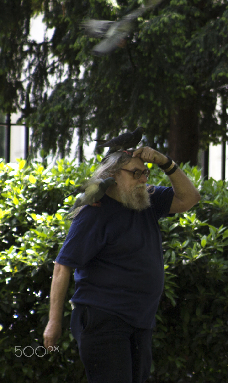 Canon EF 80-200mm F4.5-5.6 II sample photo. Bird man photography