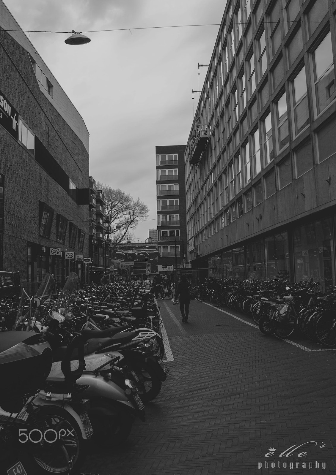 Canon EOS 1000D (EOS Digital Rebel XS / EOS Kiss F) sample photo. Bicycles photography