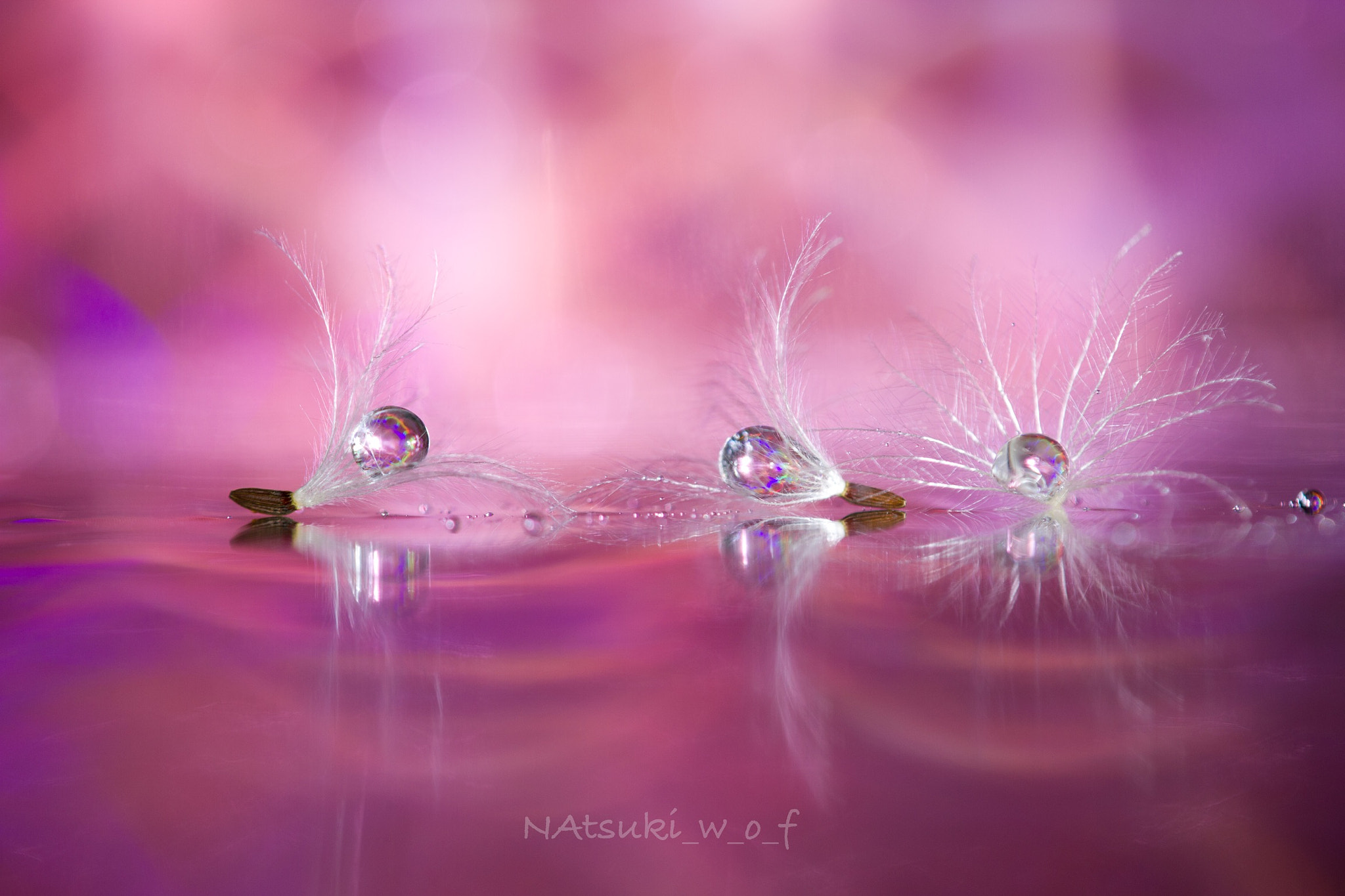 Tamron SP AF 180mm F3.5 Di LD (IF) Macro sample photo. Fantasy world photography