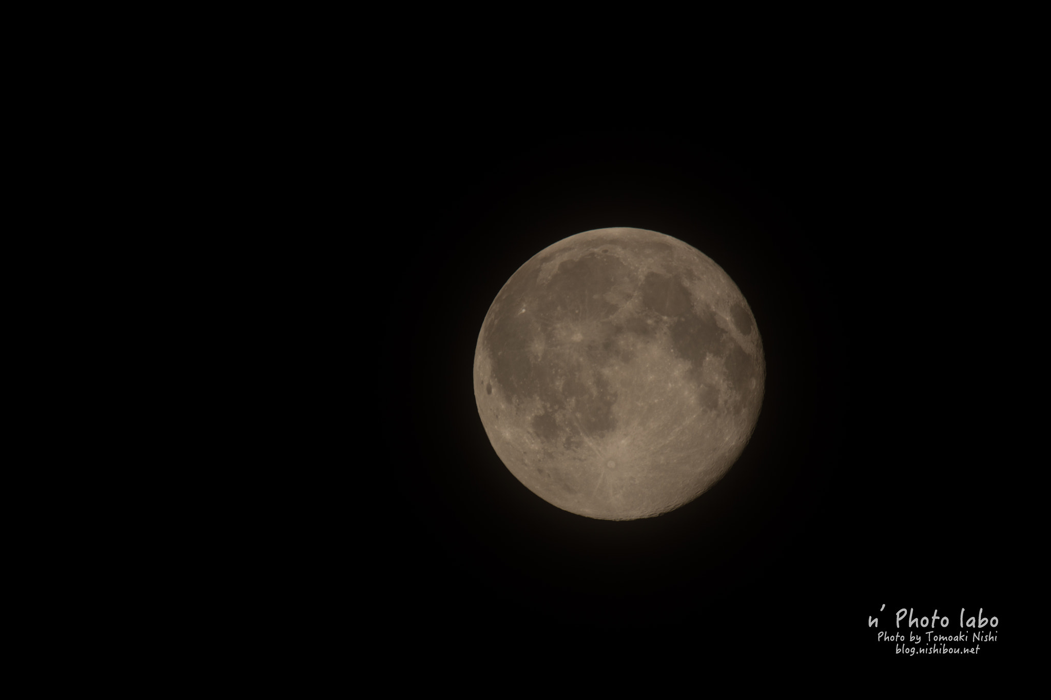 Canon EOS 5DS R sample photo. 27077301802.jpg photography