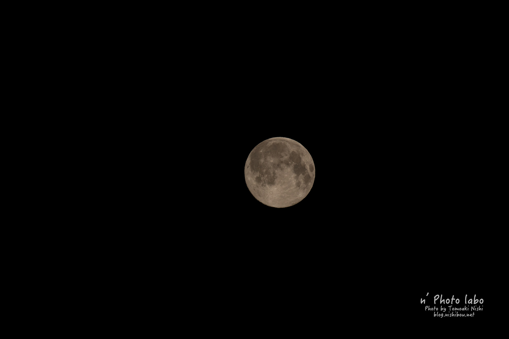 Sigma 150-600mm F5-6.3 DG OS HSM | S sample photo. 27057424462.jpg photography