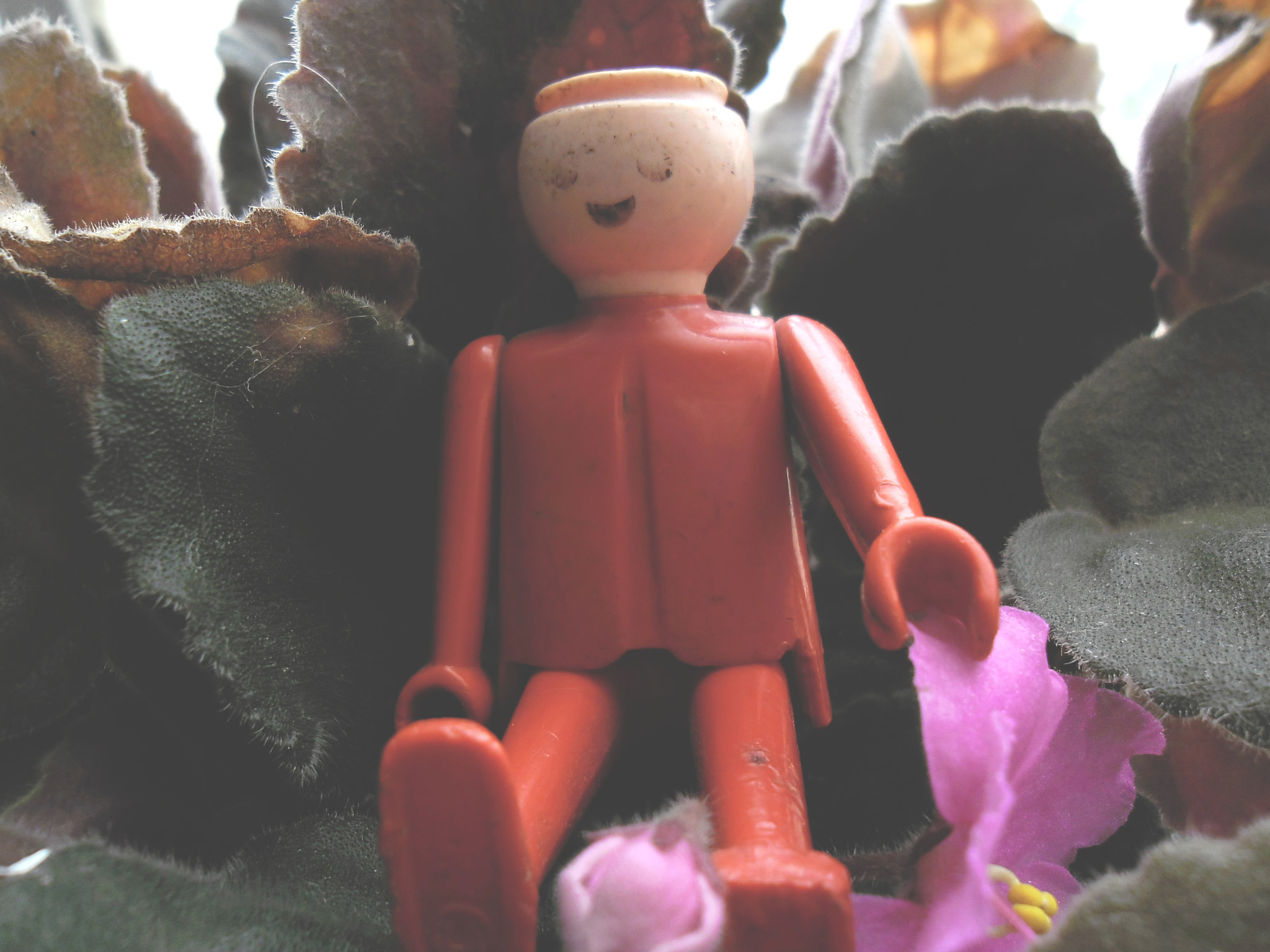 Samsung ES80/ ES81 sample photo. Hi there. photography