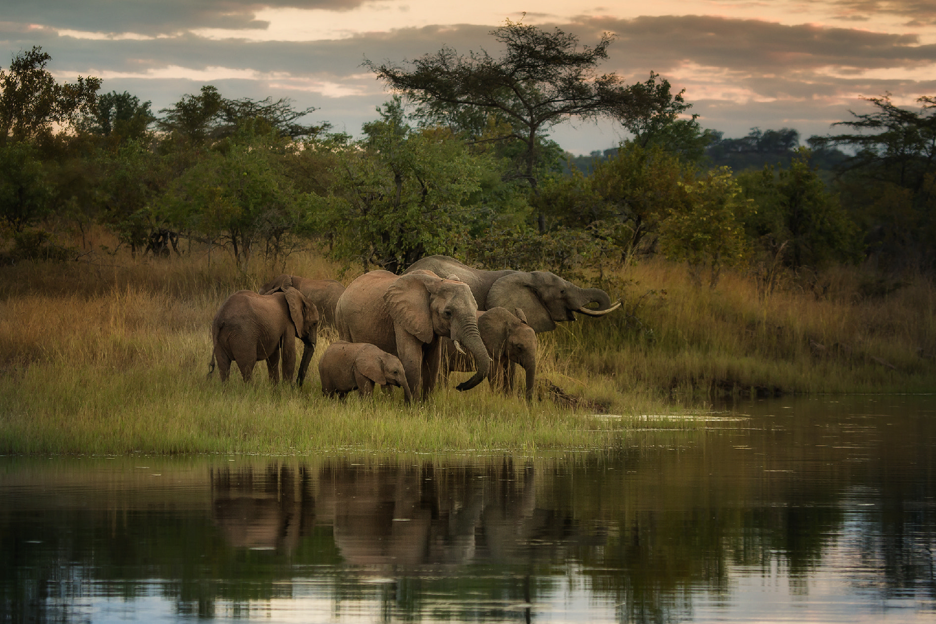 Canon EF 100-400mm F4.5-5.6L IS USM sample photo. African evening photography
