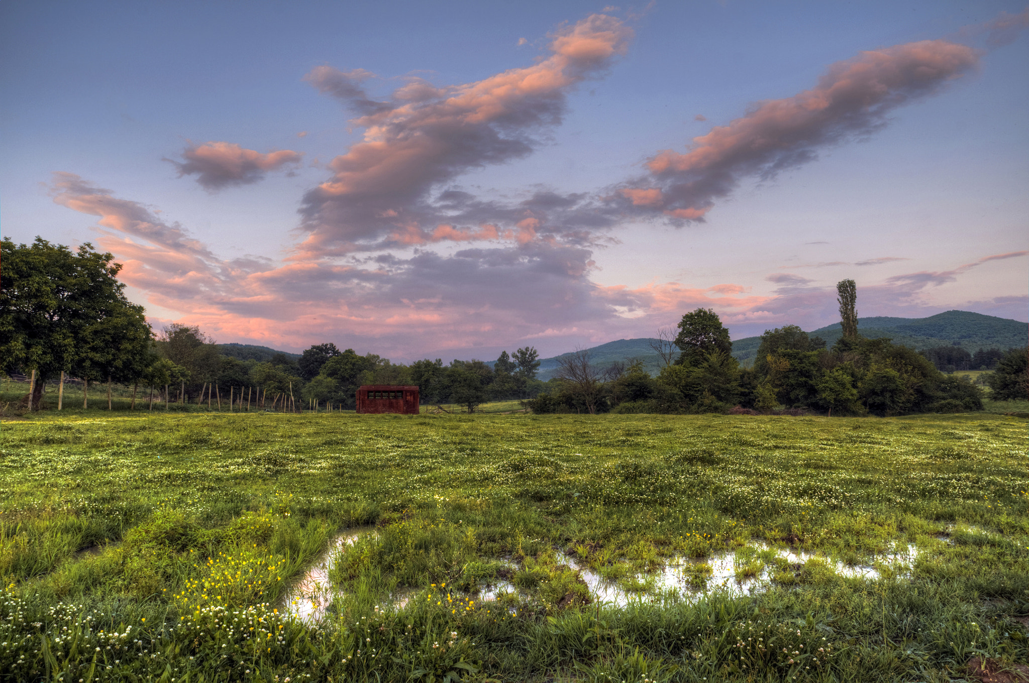 Sigma 18-200mm F3.5-6.3 DC OS HSM sample photo. After the rain photography