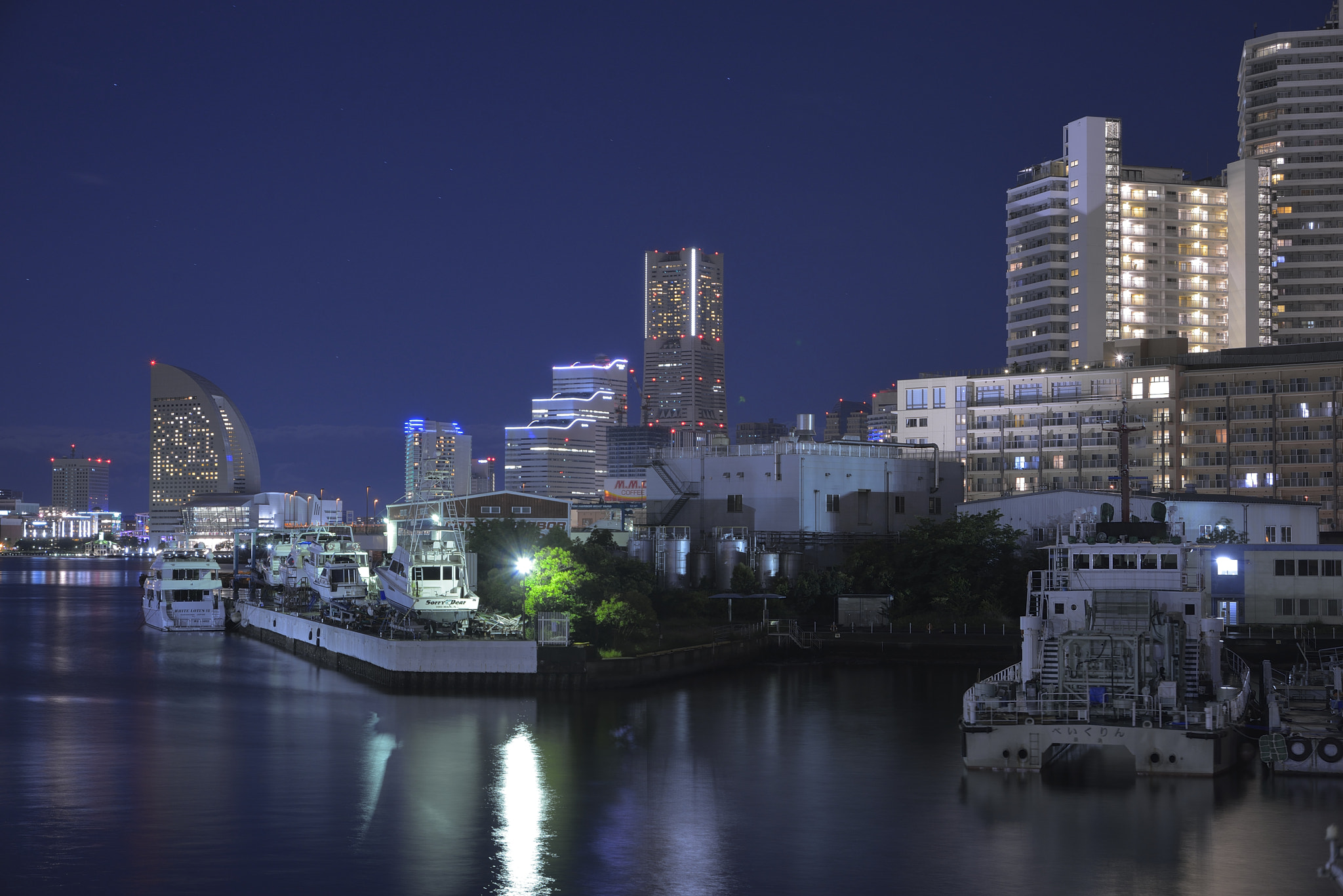 Nikon D800 + Tamron AF 28-300mm F3.5-6.3 XR Di LD Aspherical (IF) Macro sample photo. Yokohama night view photography
