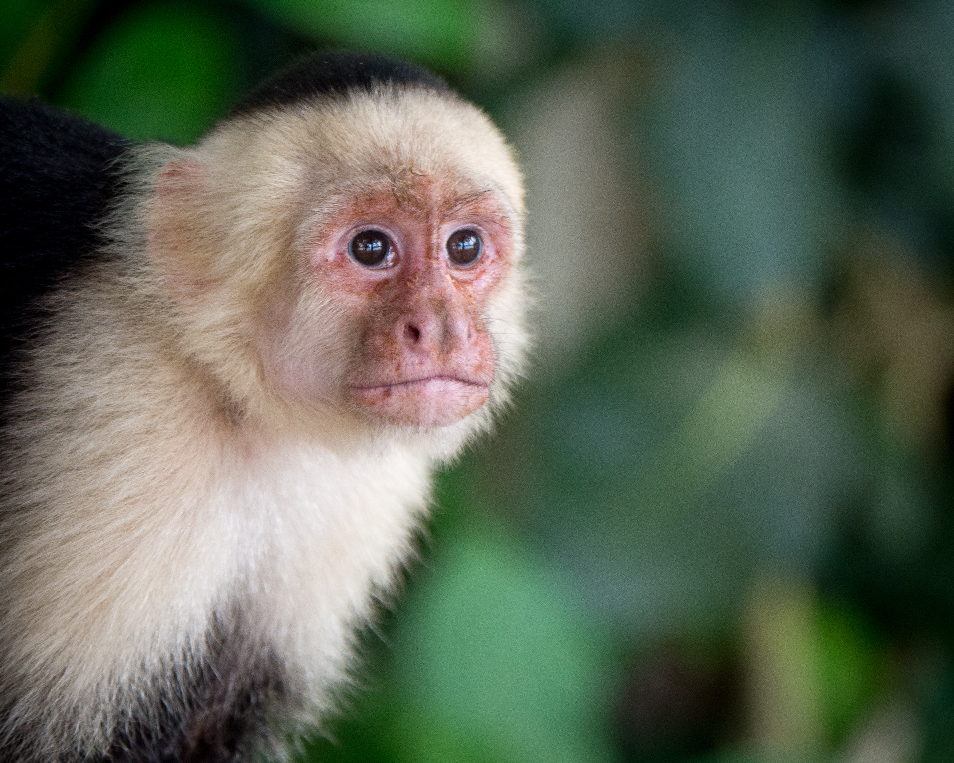 Panasonic Lumix DMC-GH3 sample photo. Costa rica photography
