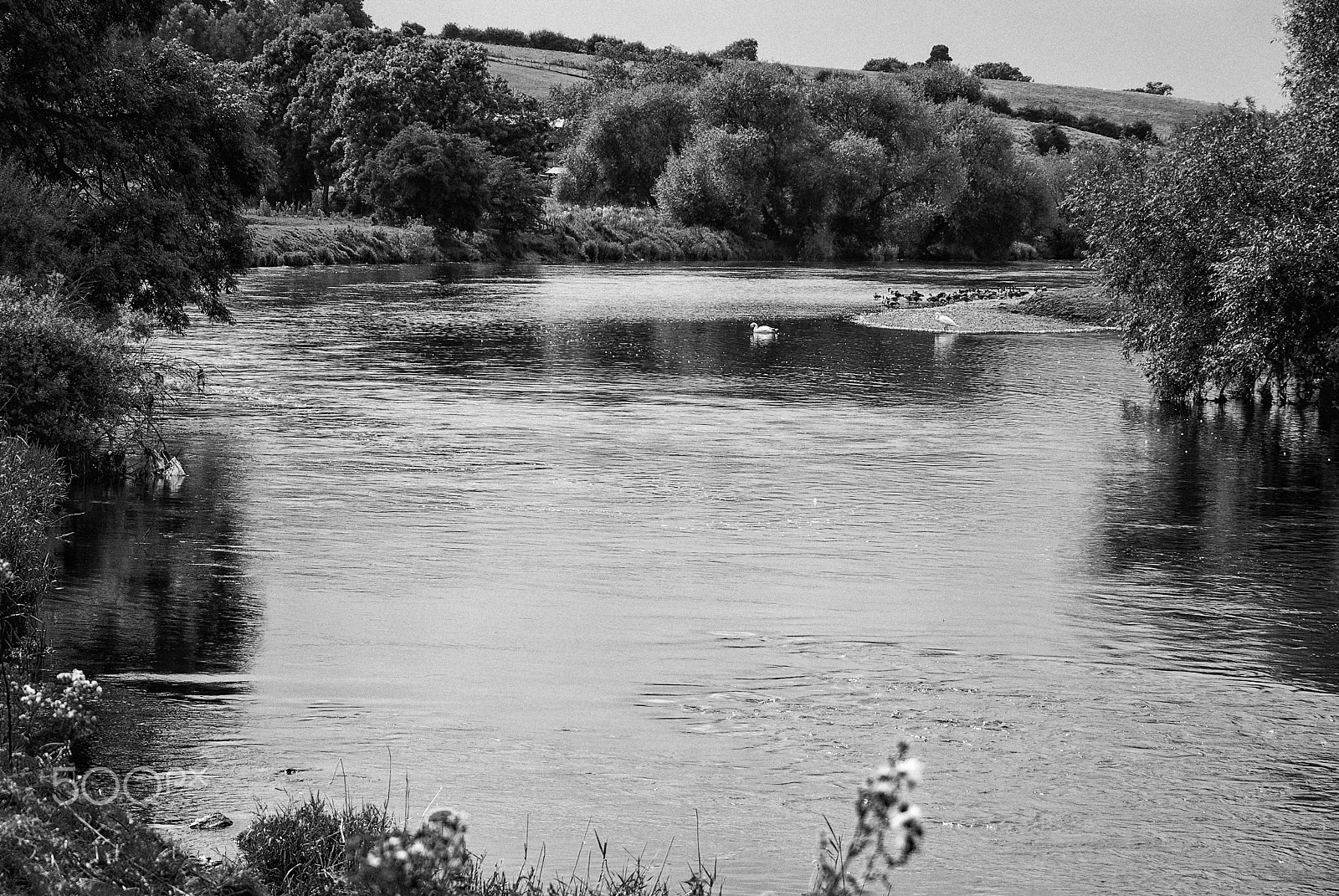 Nikon D200 + Sigma 17-70mm F2.8-4.5 DC Macro Asp. IF sample photo. River trent in black & white photography