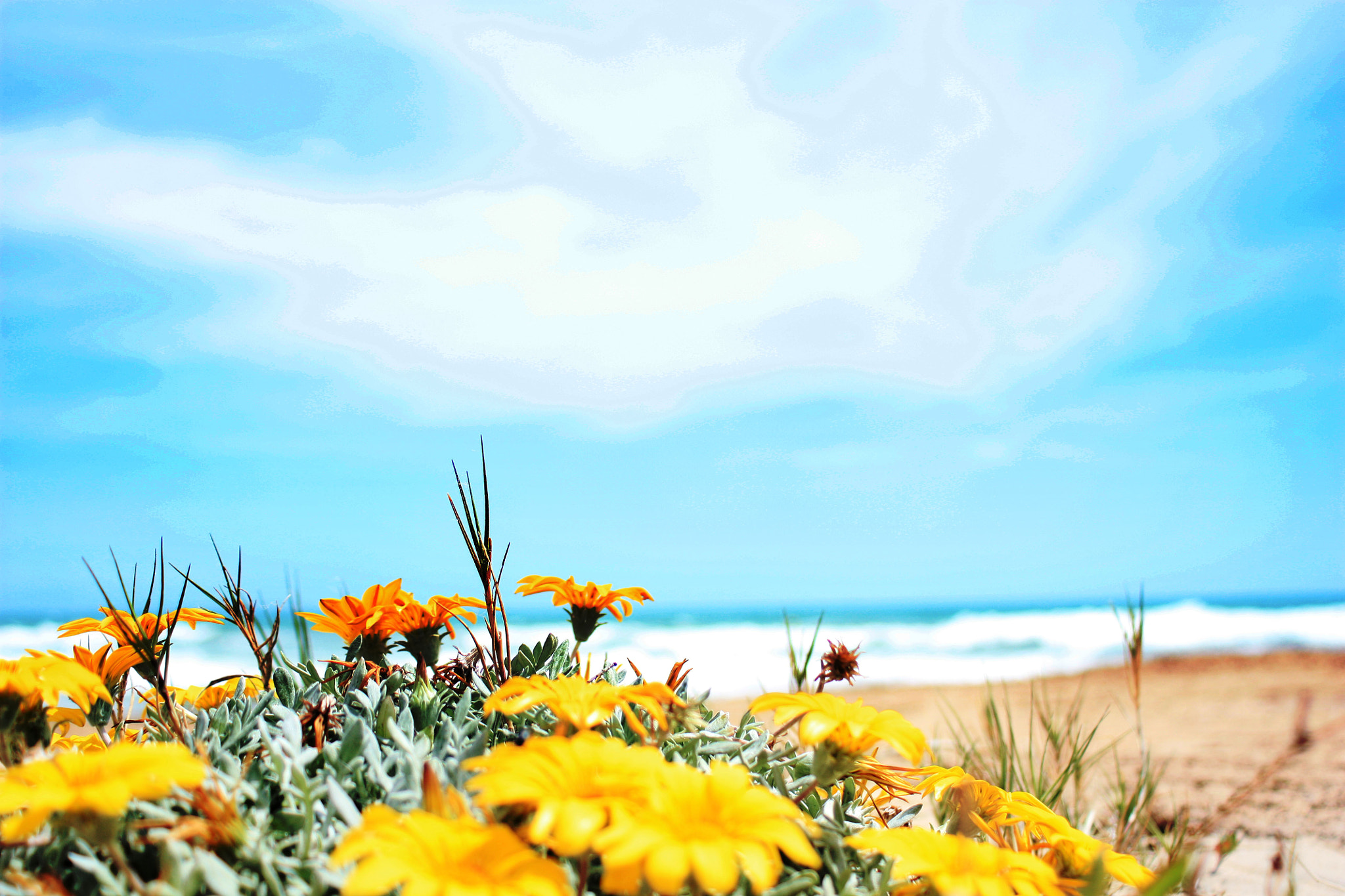 Canon EF 28-80mm f/3.5-5.6 USM IV sample photo. Flowers photography