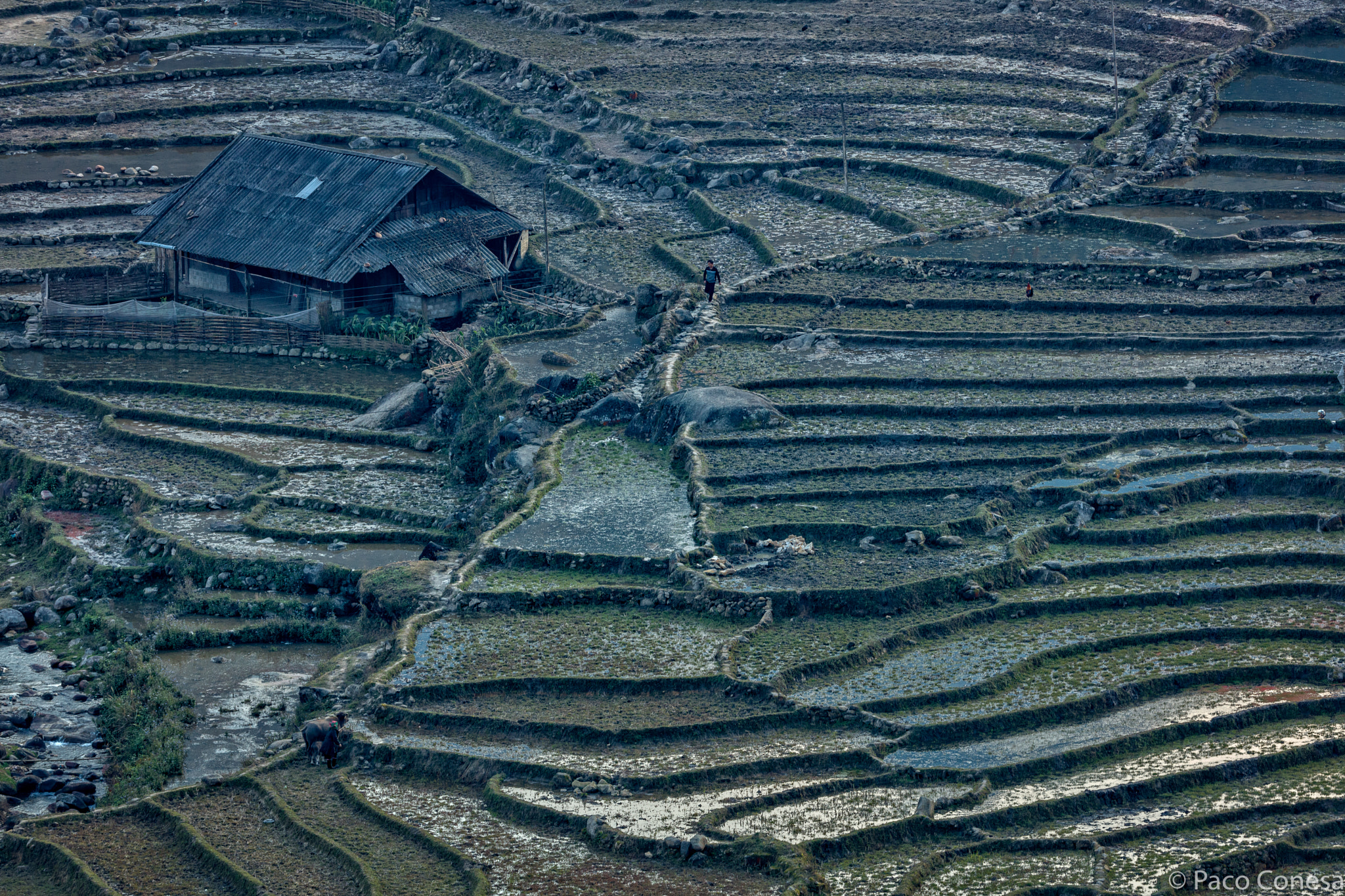 Canon EF 200-400mm F4L IS USM Extender 1.4x sample photo. A normal day in sapa photography