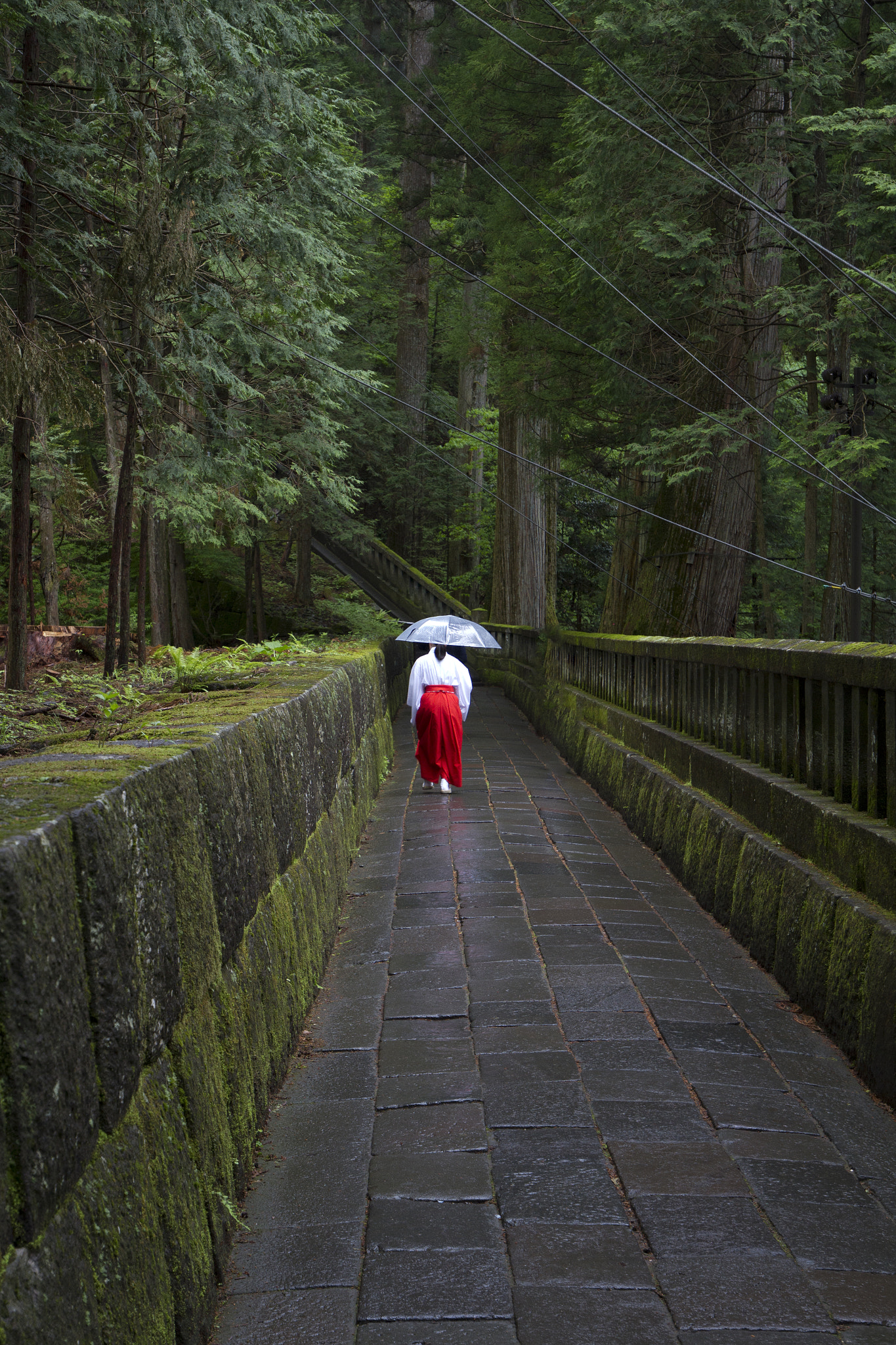 Canon EOS 7D + Canon EF 16-35mm F4L IS USM sample photo. Japan photography