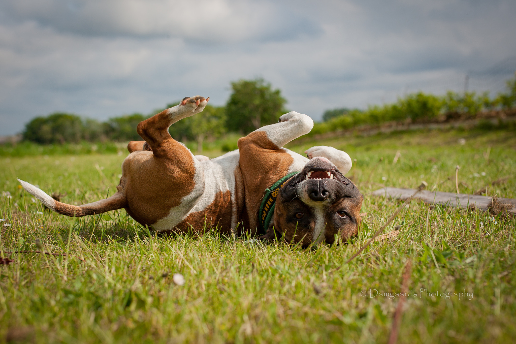 Canon EOS-1Ds Mark III sample photo. 5l0r1321.jpg photography