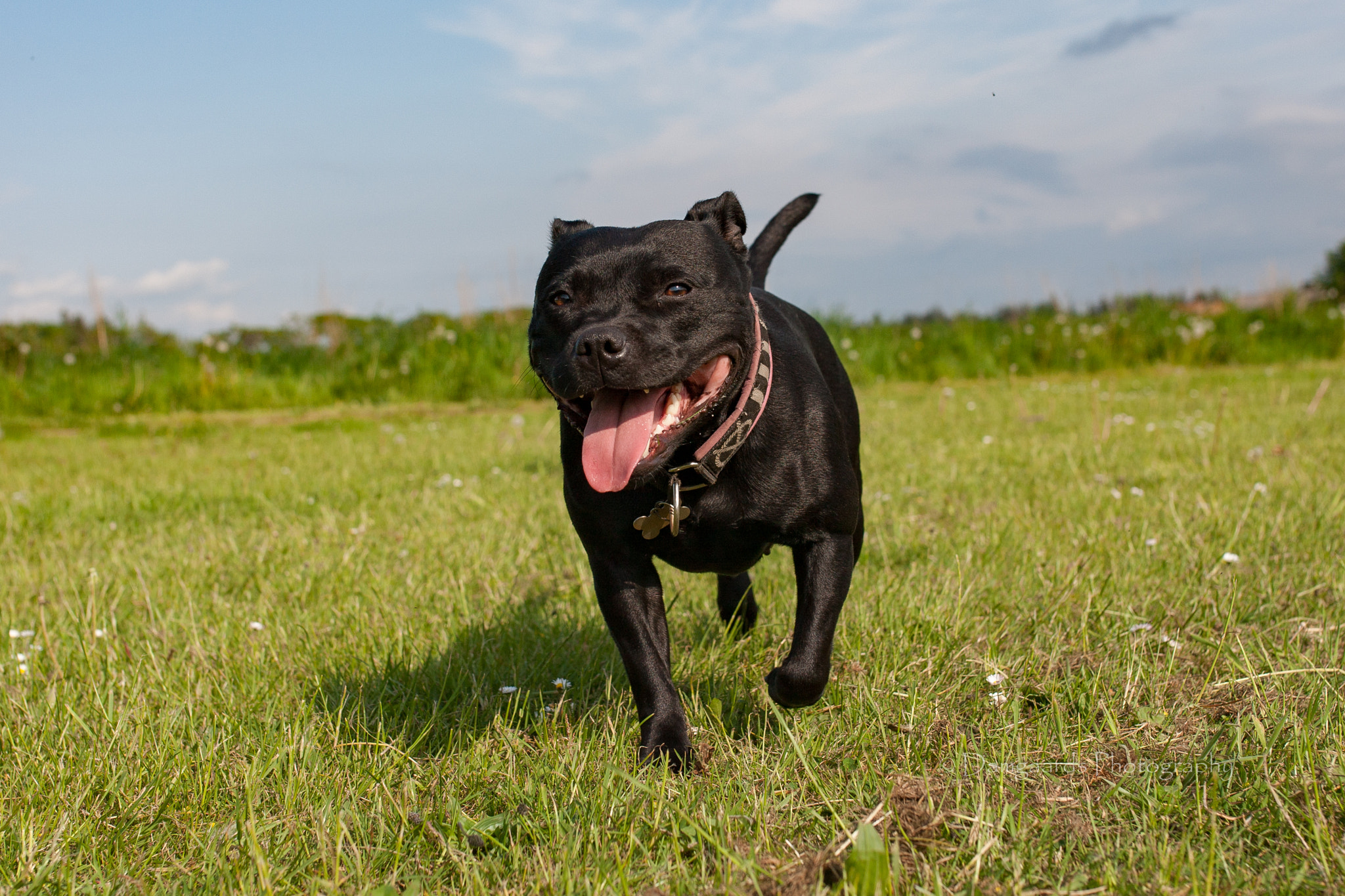 Canon EOS-1Ds Mark III sample photo. 5l0r1345.jpg photography