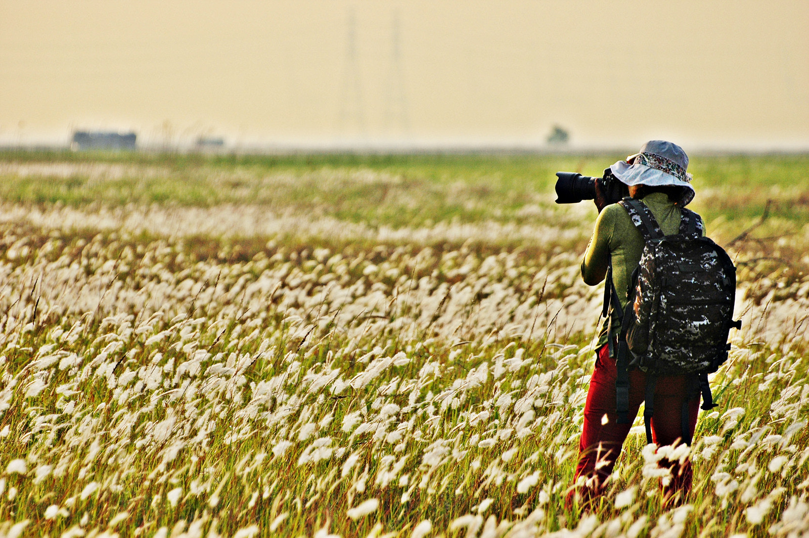 Nikon D70s sample photo. Shooting~! photography
