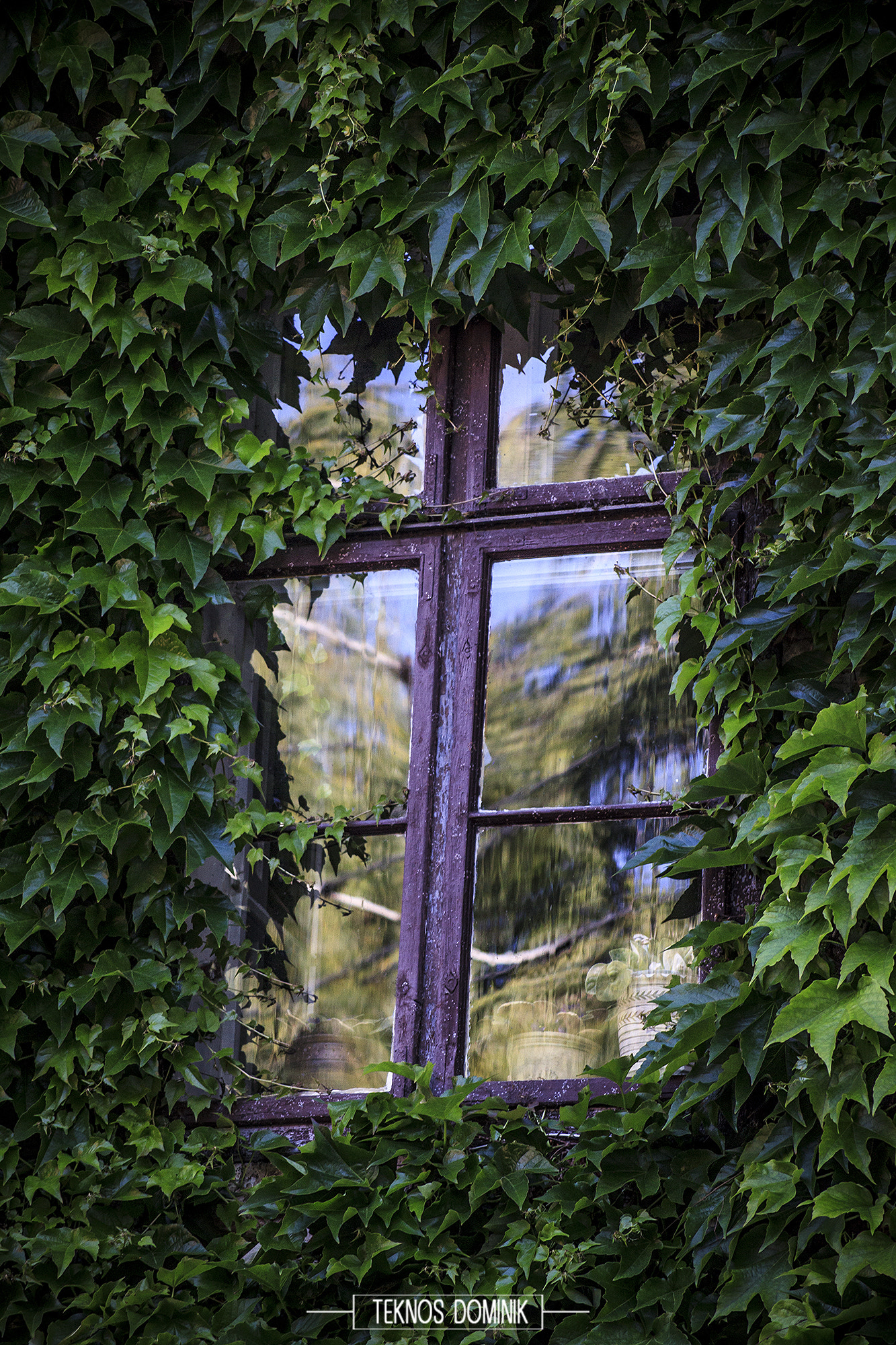 Sigma 55-200mm f/4-5.6 DC sample photo. Csak egy ablak (just a window) photography