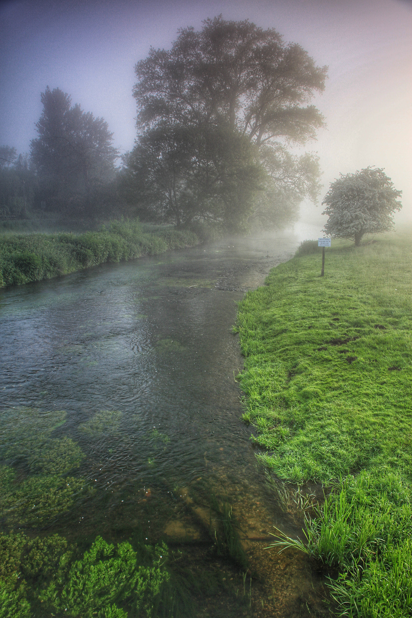 Canon EOS 7D + Canon 18-270mm sample photo. "foggy morning" taken at a favourite spot on the way to work! photography