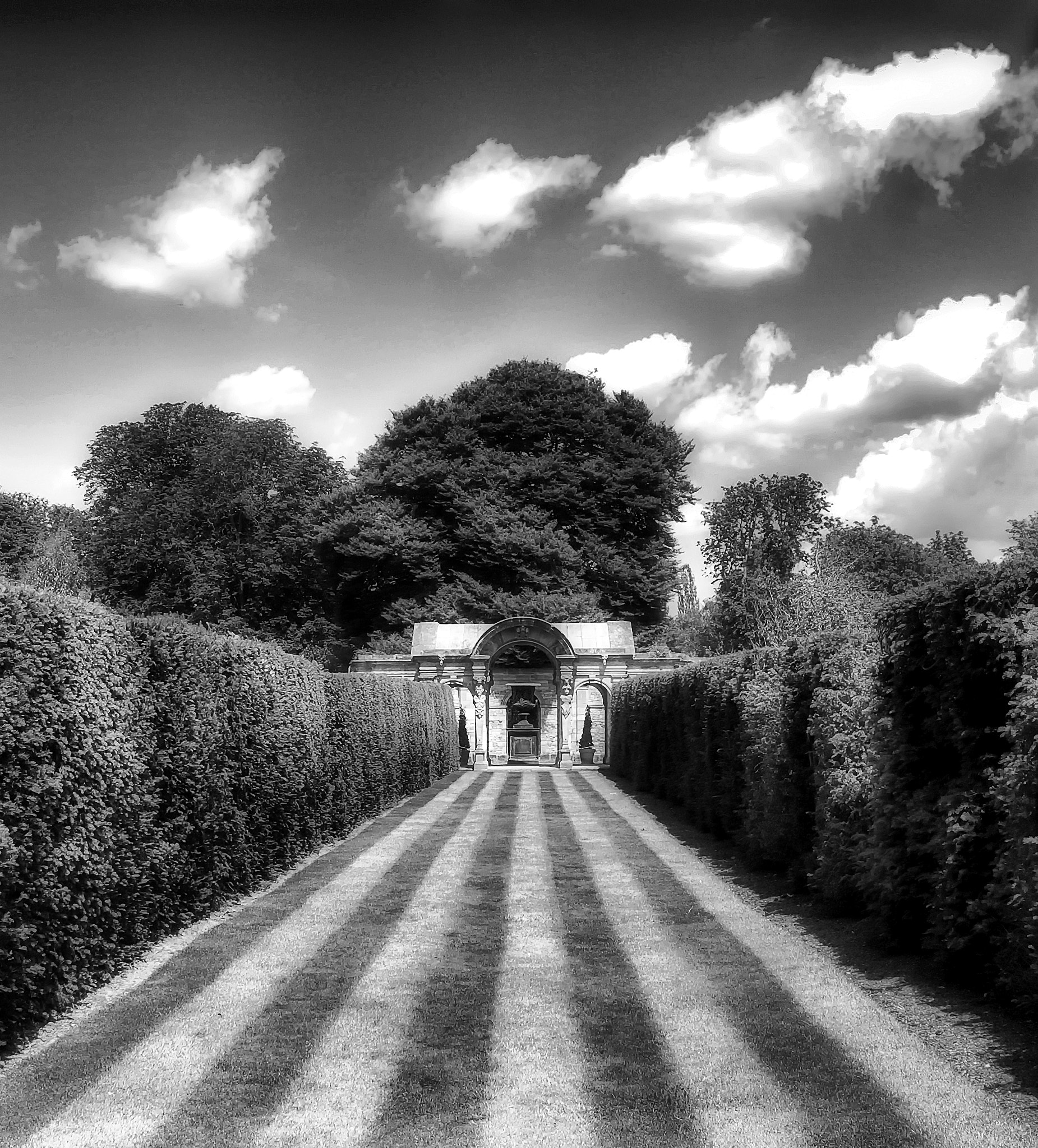 Nikon D60 sample photo. Lawn and lines photography