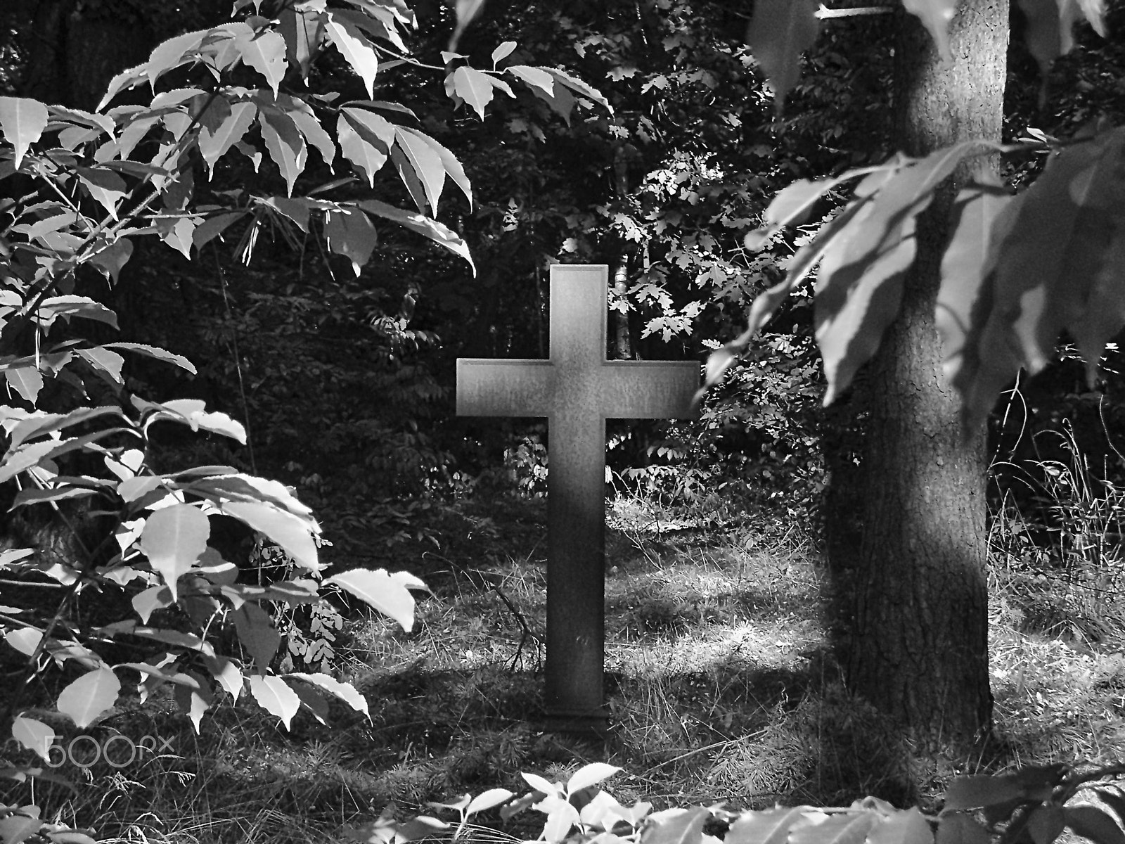 Olympus FE-140,X-725 sample photo. Waldfriedhof photography