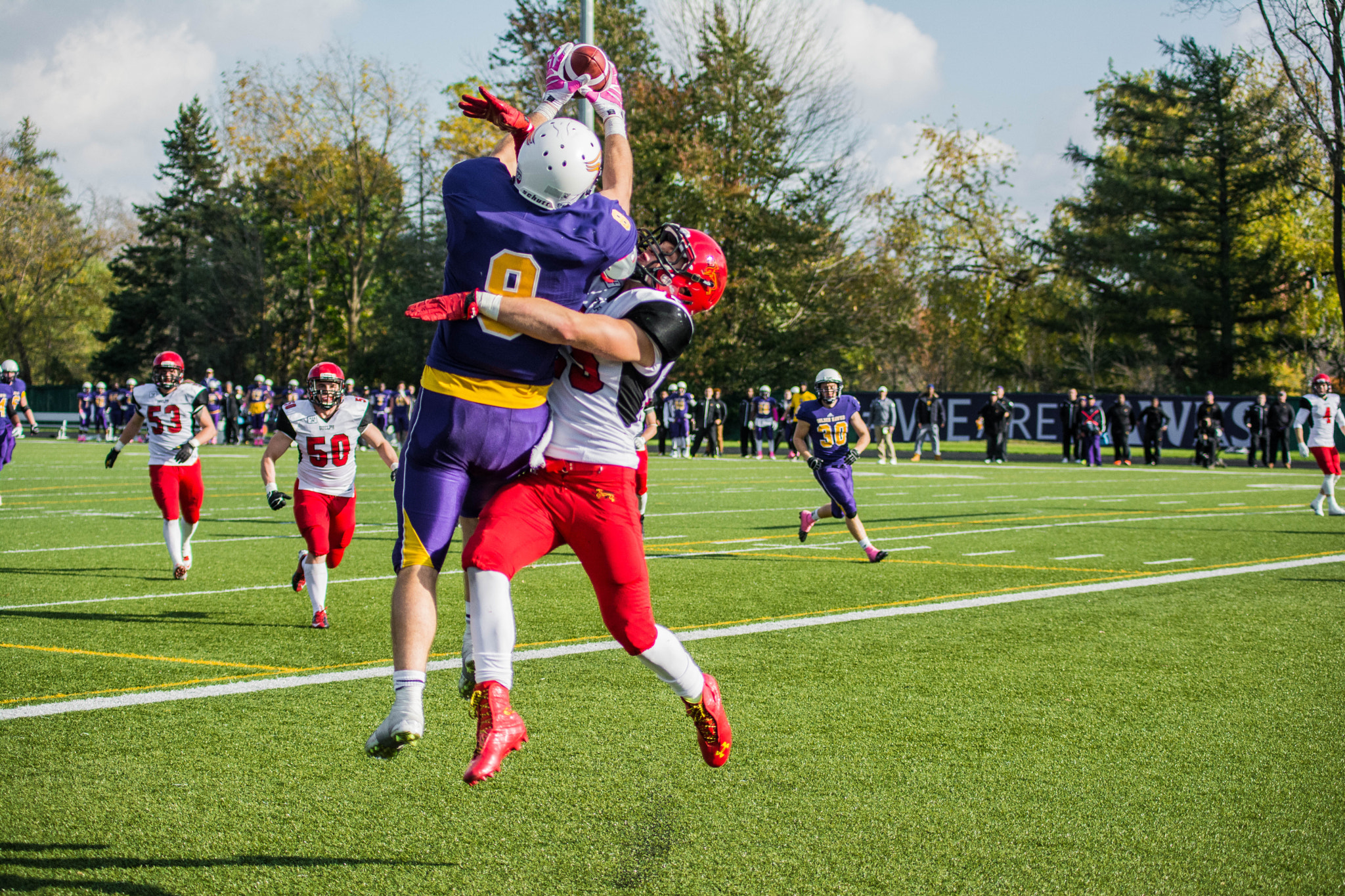 Sigma 50-150mm F2.8 EX APO DC HSM sample photo. Touchdown laurier! photography