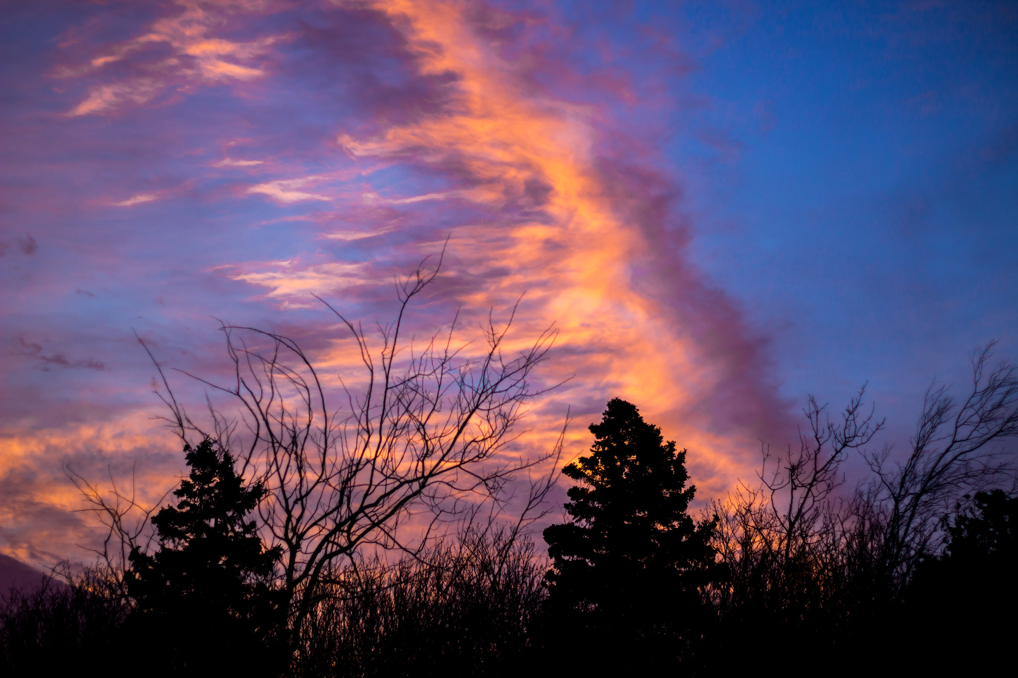 Canon EOS 100D (EOS Rebel SL1 / EOS Kiss X7) sample photo. Silhouetted upon a vibrant sunset photography