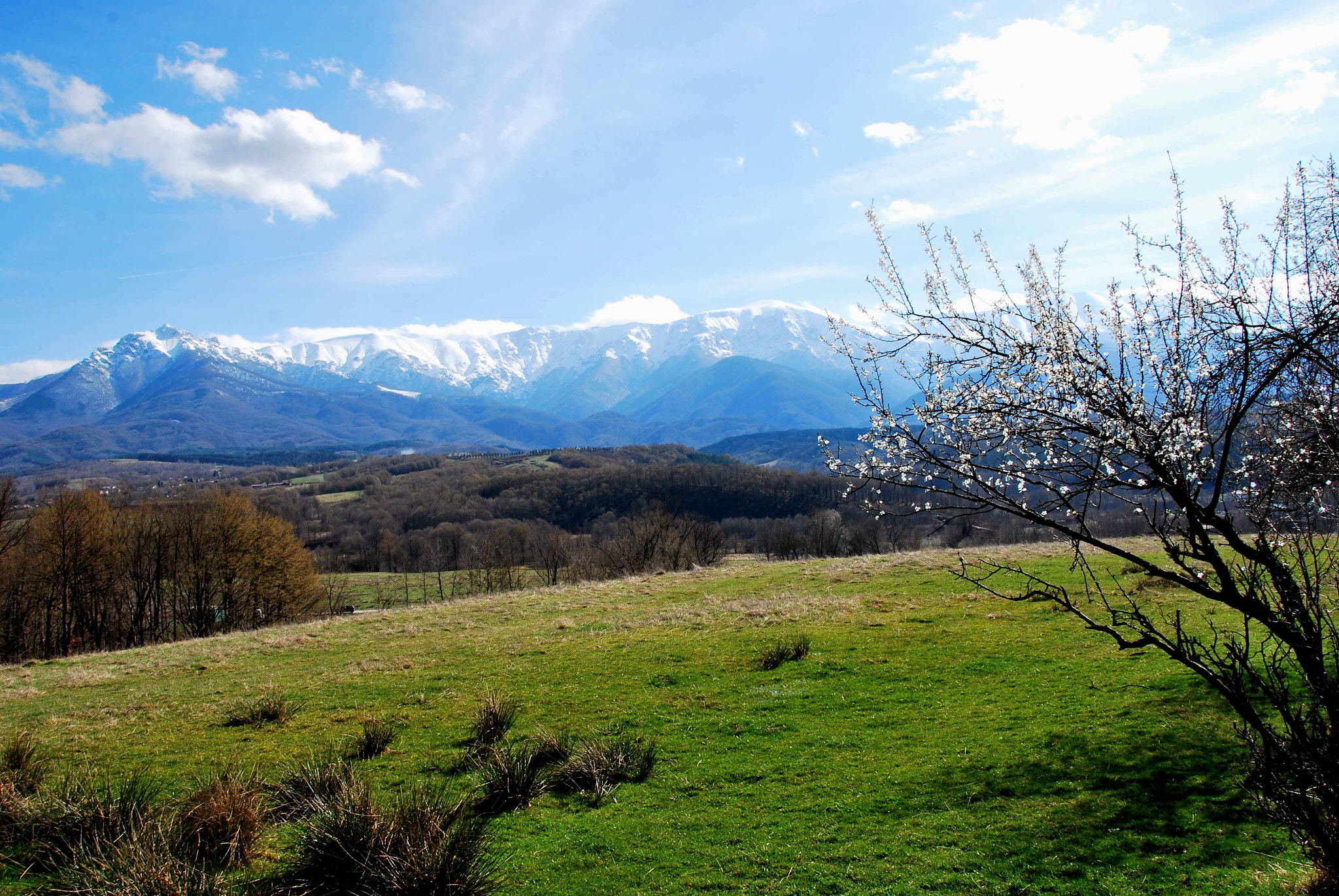 Nikon D60 sample photo. Spring at apriltsi photography