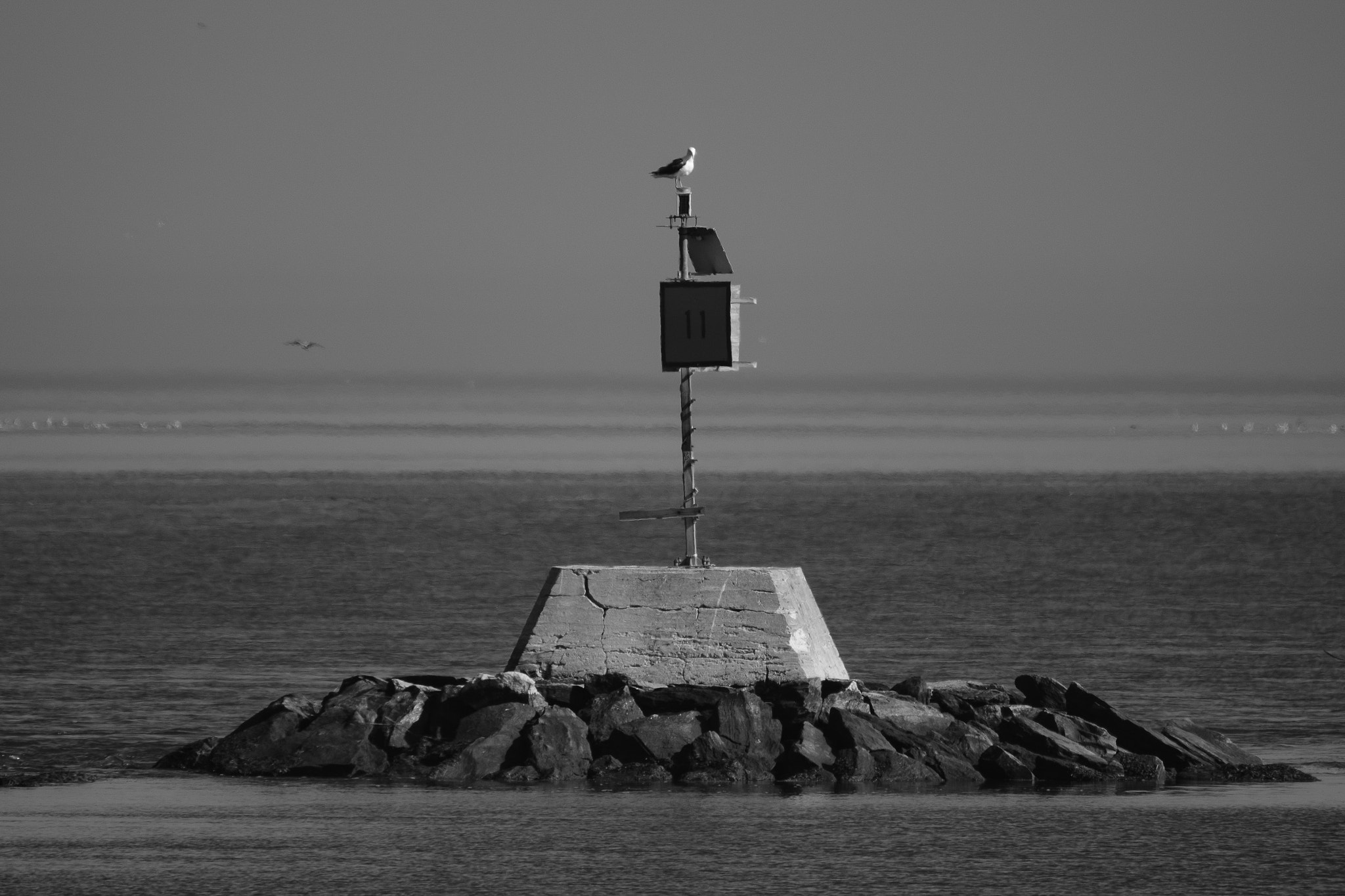 XF100-400mmF4.5-5.6 R LM OIS WR + 1.4x sample photo. King of the hill photography