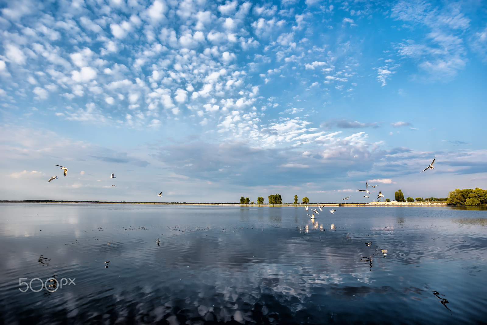 Nikon D810 + Nikon AF Nikkor 20mm F2.8D sample photo. Flying sky photography