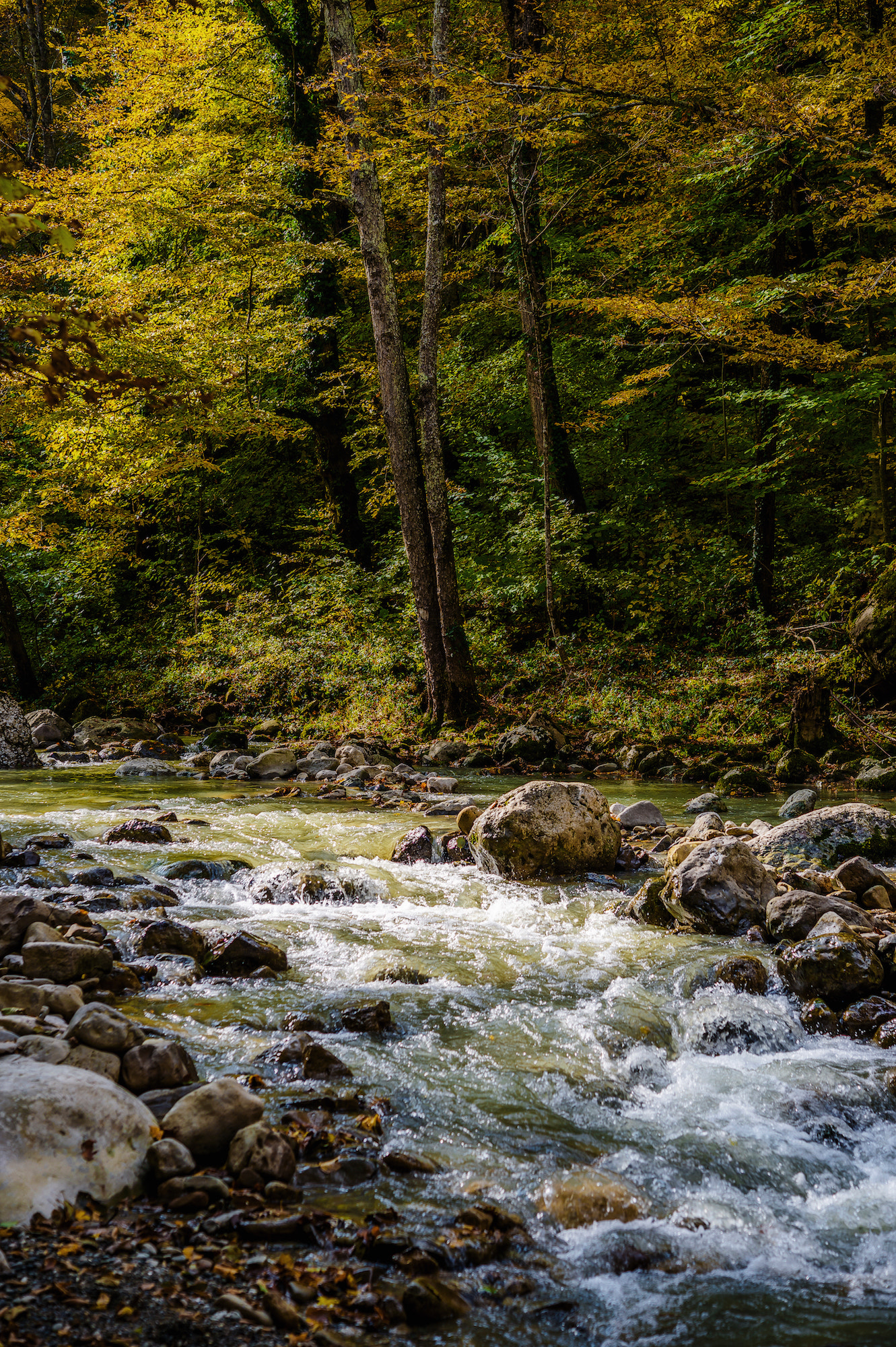 Nikon AF-S Micro-Nikkor 60mm F2.8G ED sample photo. Autumn stream photography